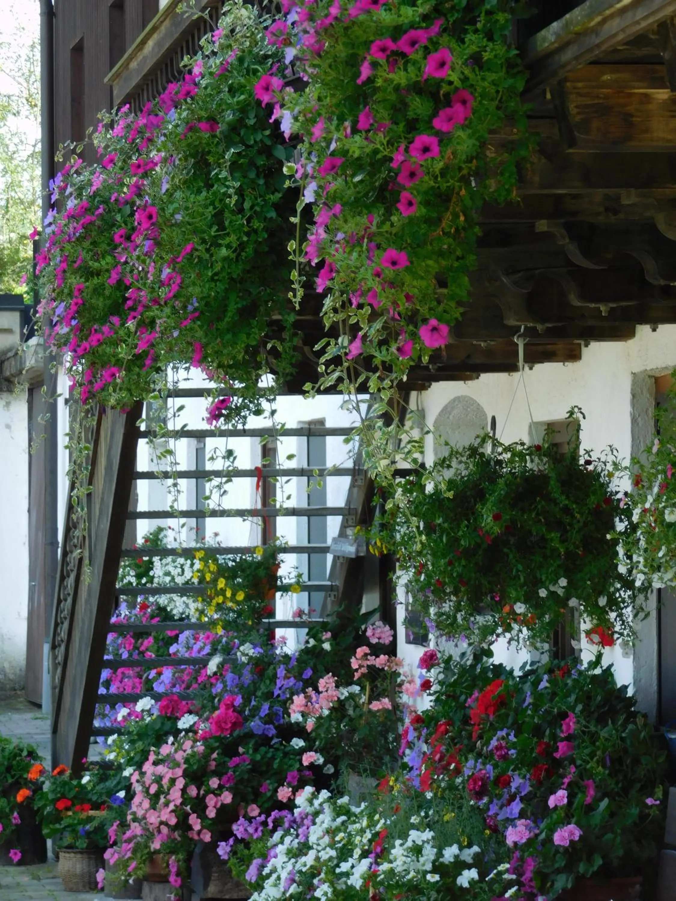 Property building in Der Blankhof "Back to Roots"