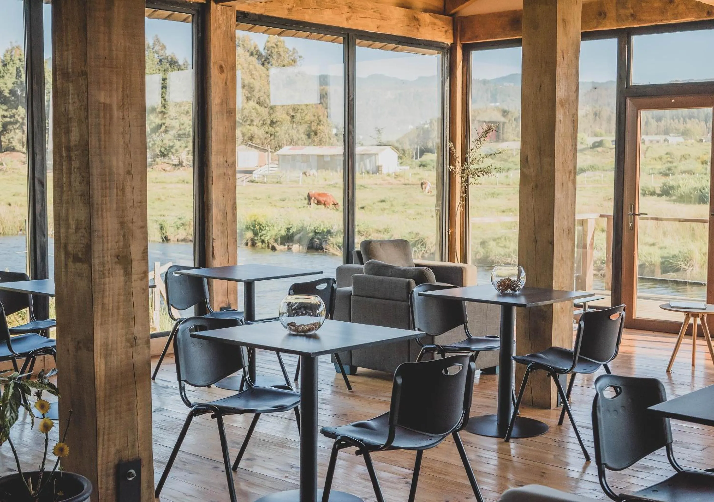 Restaurant/places to eat in Hotel Puerto Madera