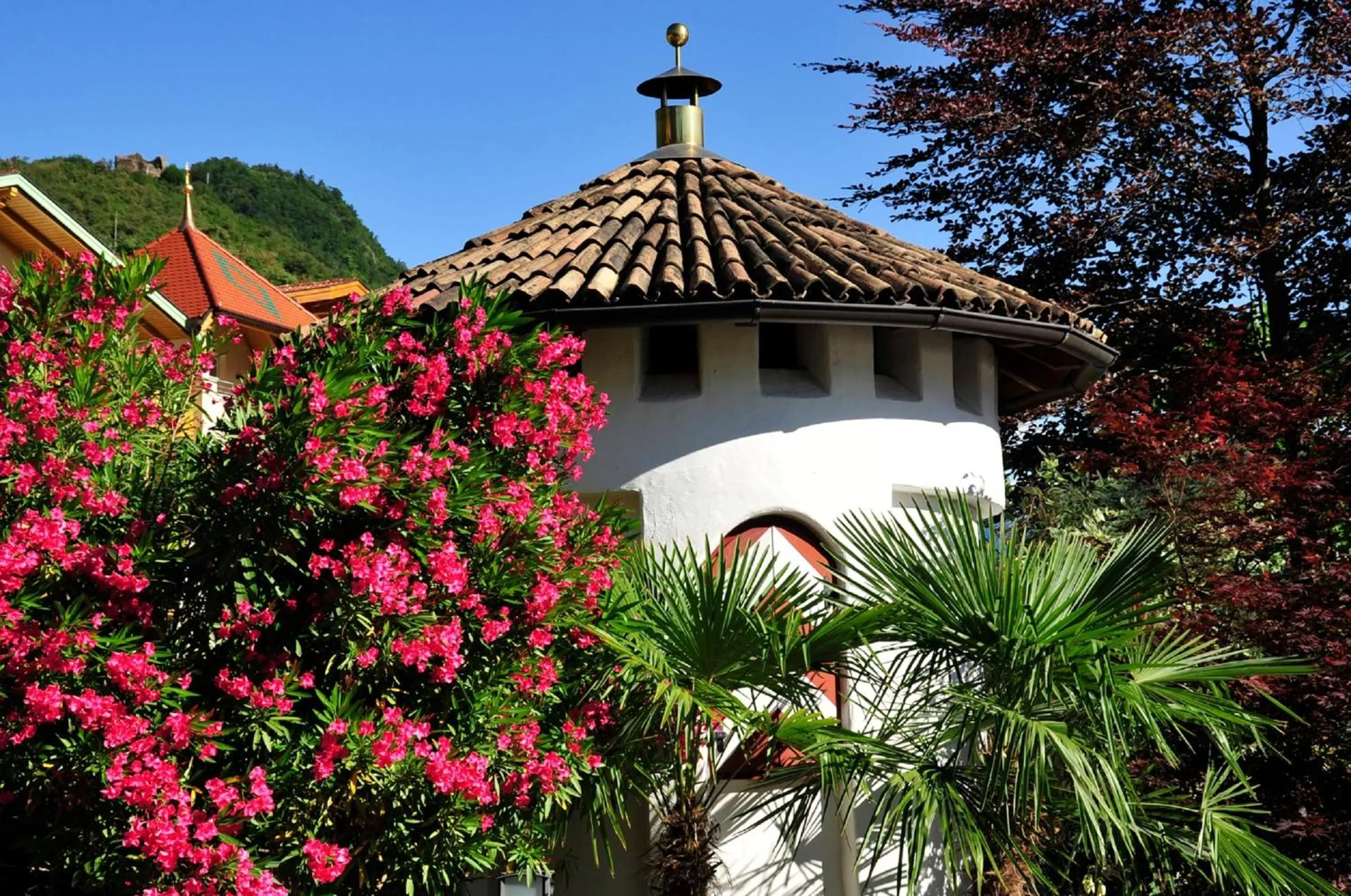 Garden in Apparthotel Gartenresidence Nalserhof