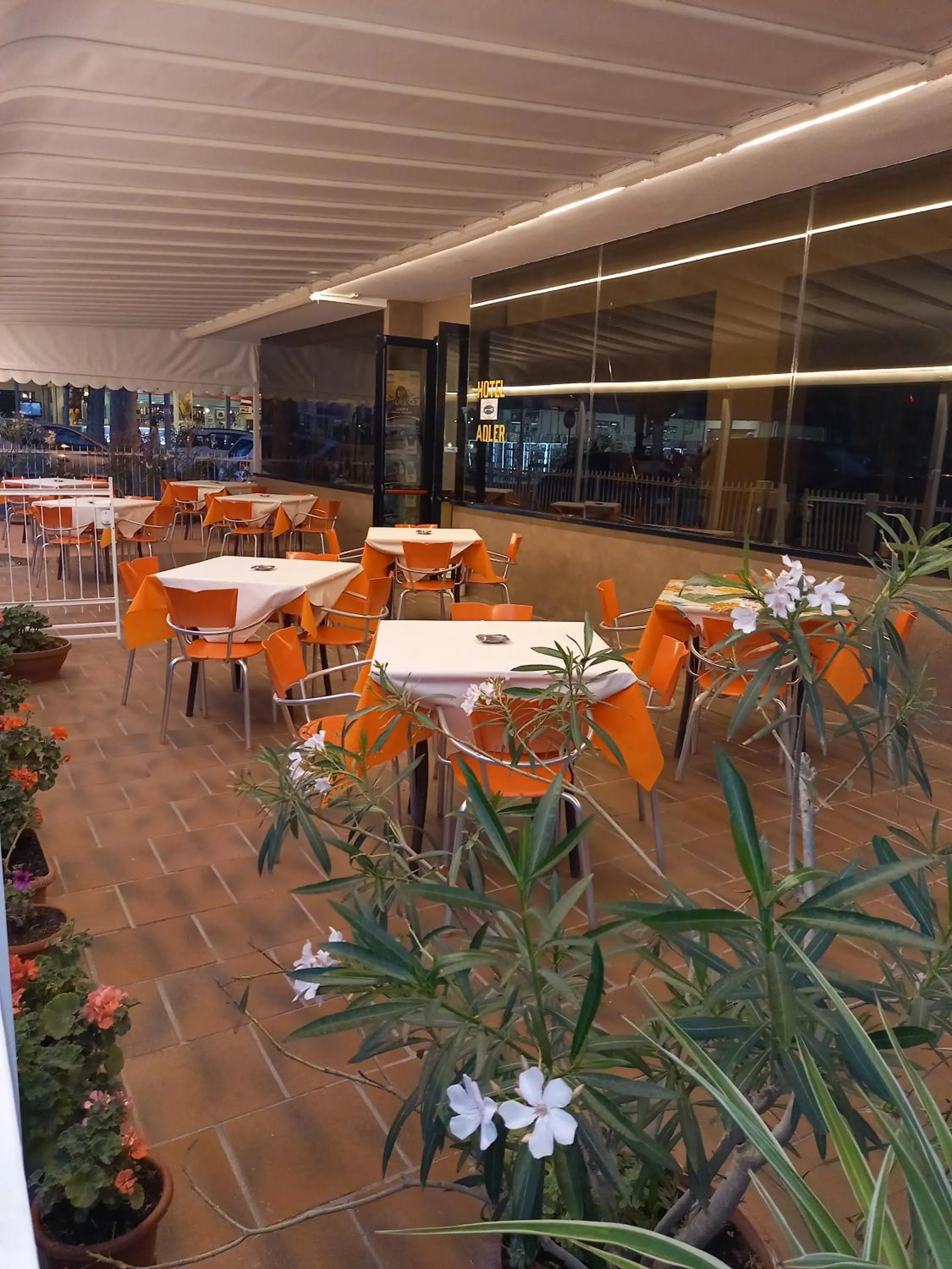 Restaurant/places to eat in Hotel Adler