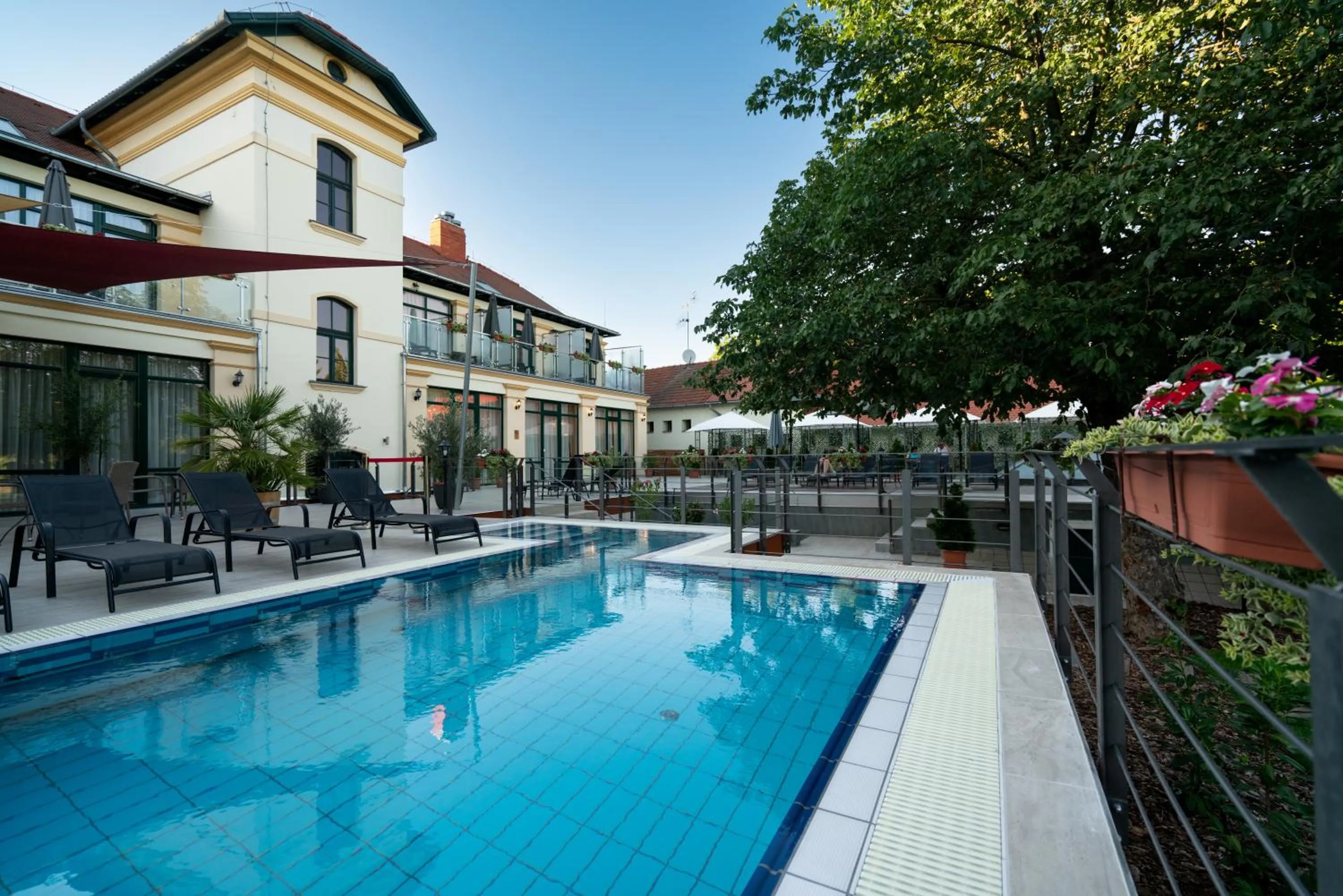 Swimming pool in Elizabeth Hotel
