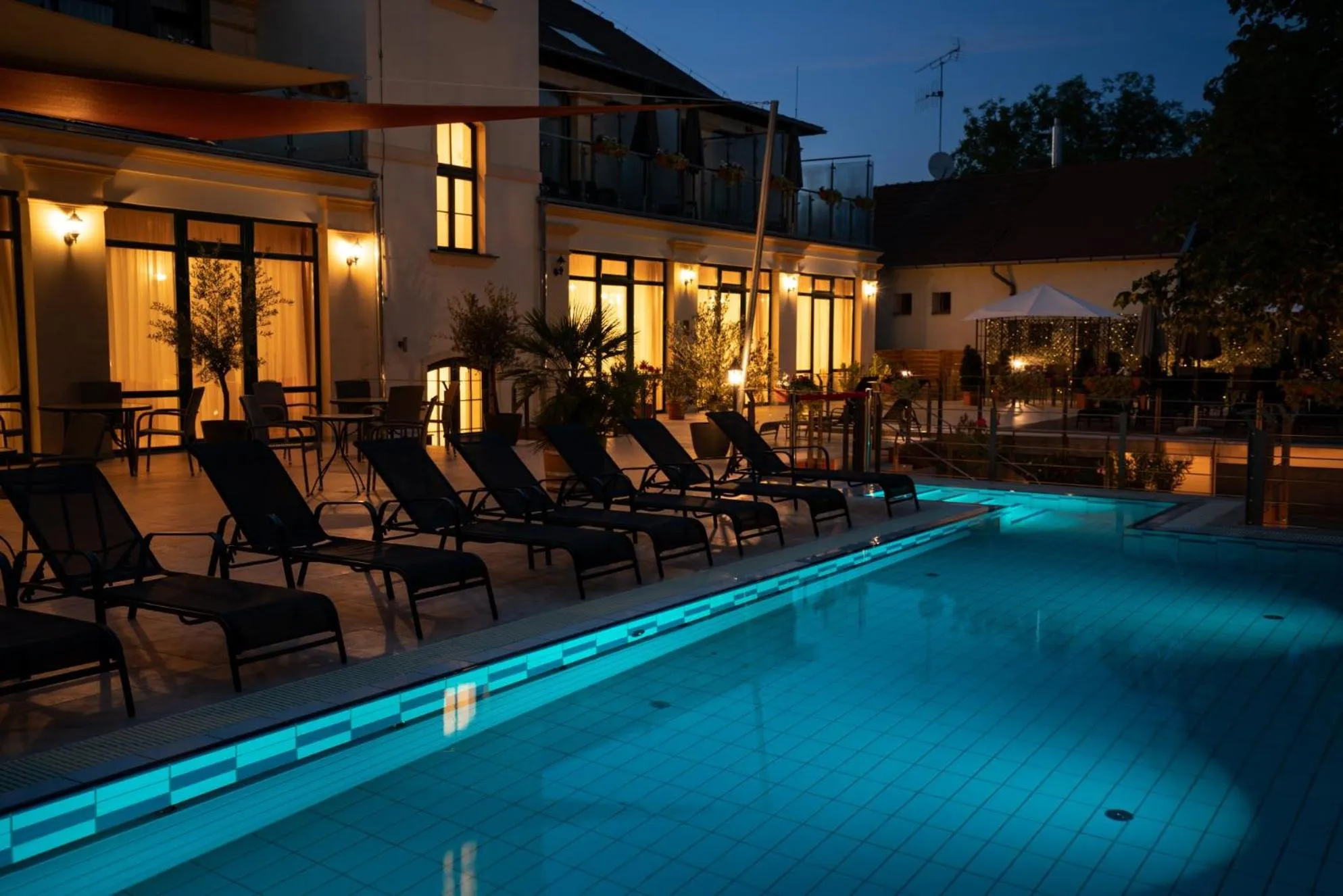 sunbed in Elizabeth Hotel