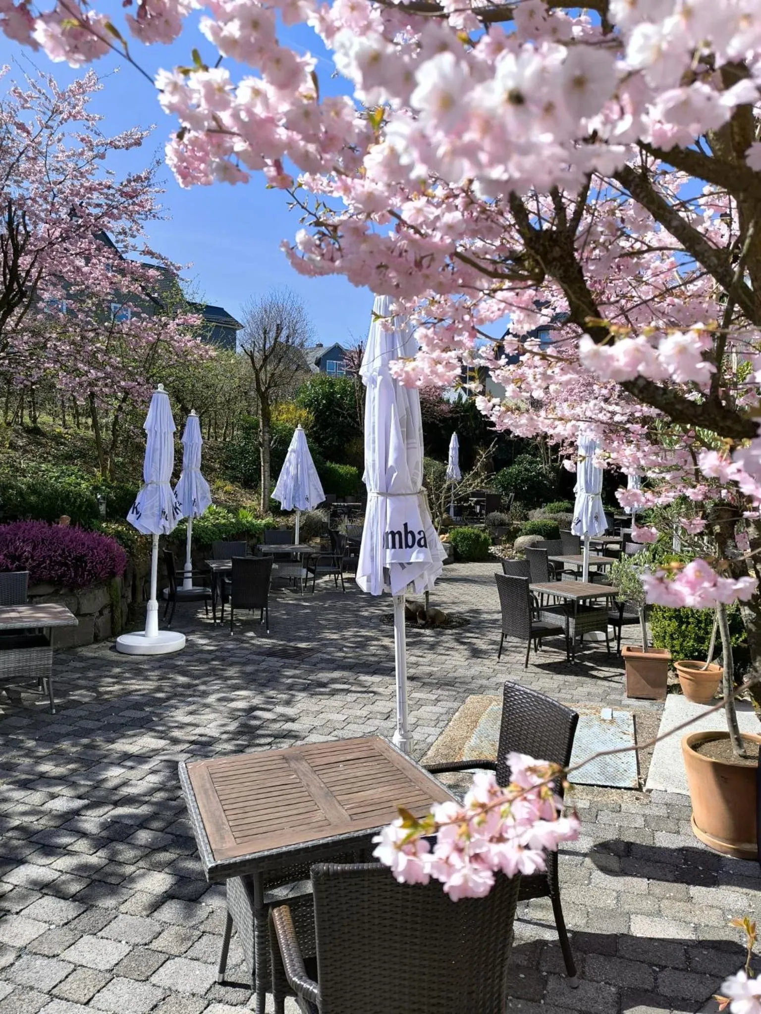 Balcony/Terrace in Engemann Kurve
