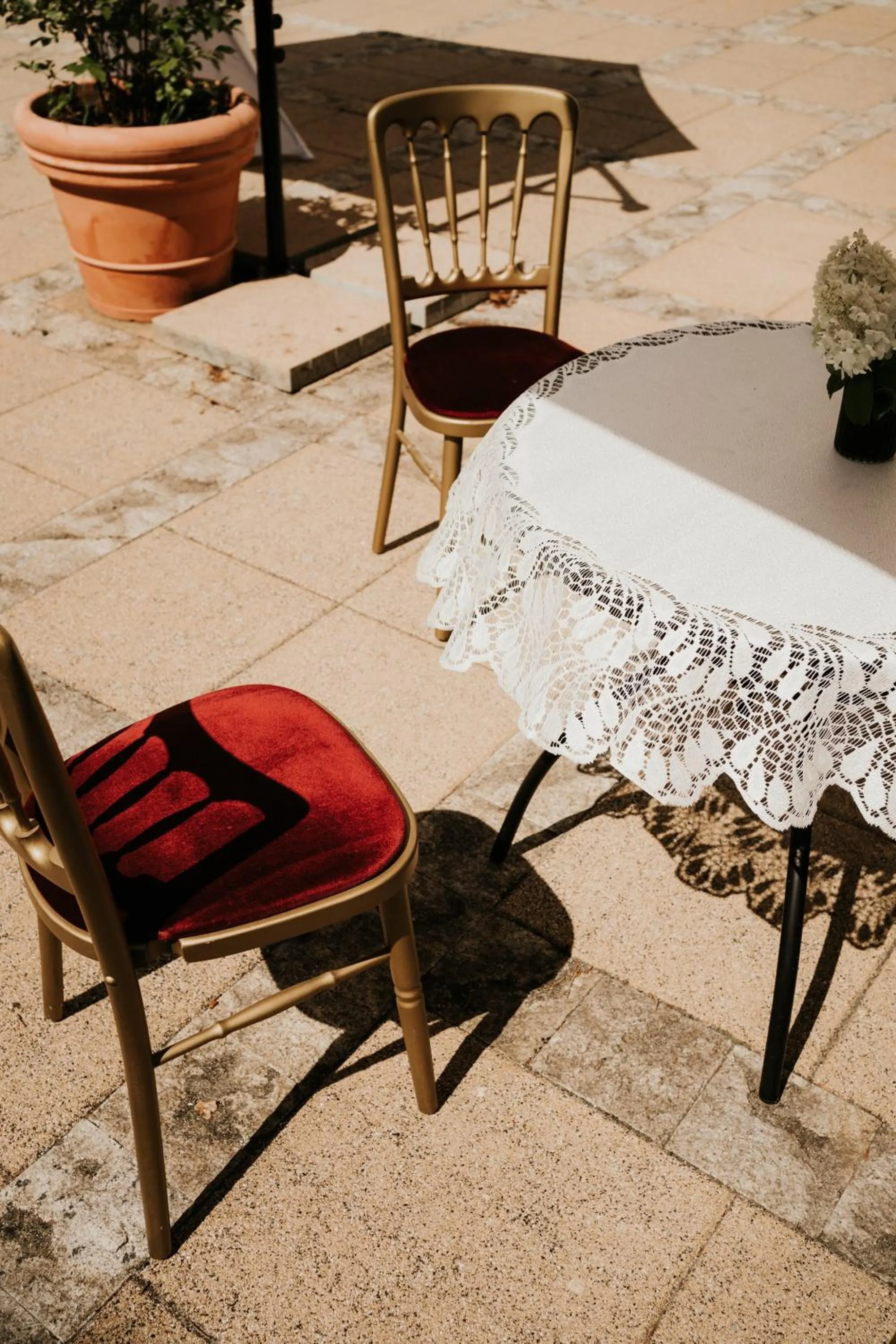 Garden in Pałac Bogaczów - noclegi - restauracja - przyjęcia