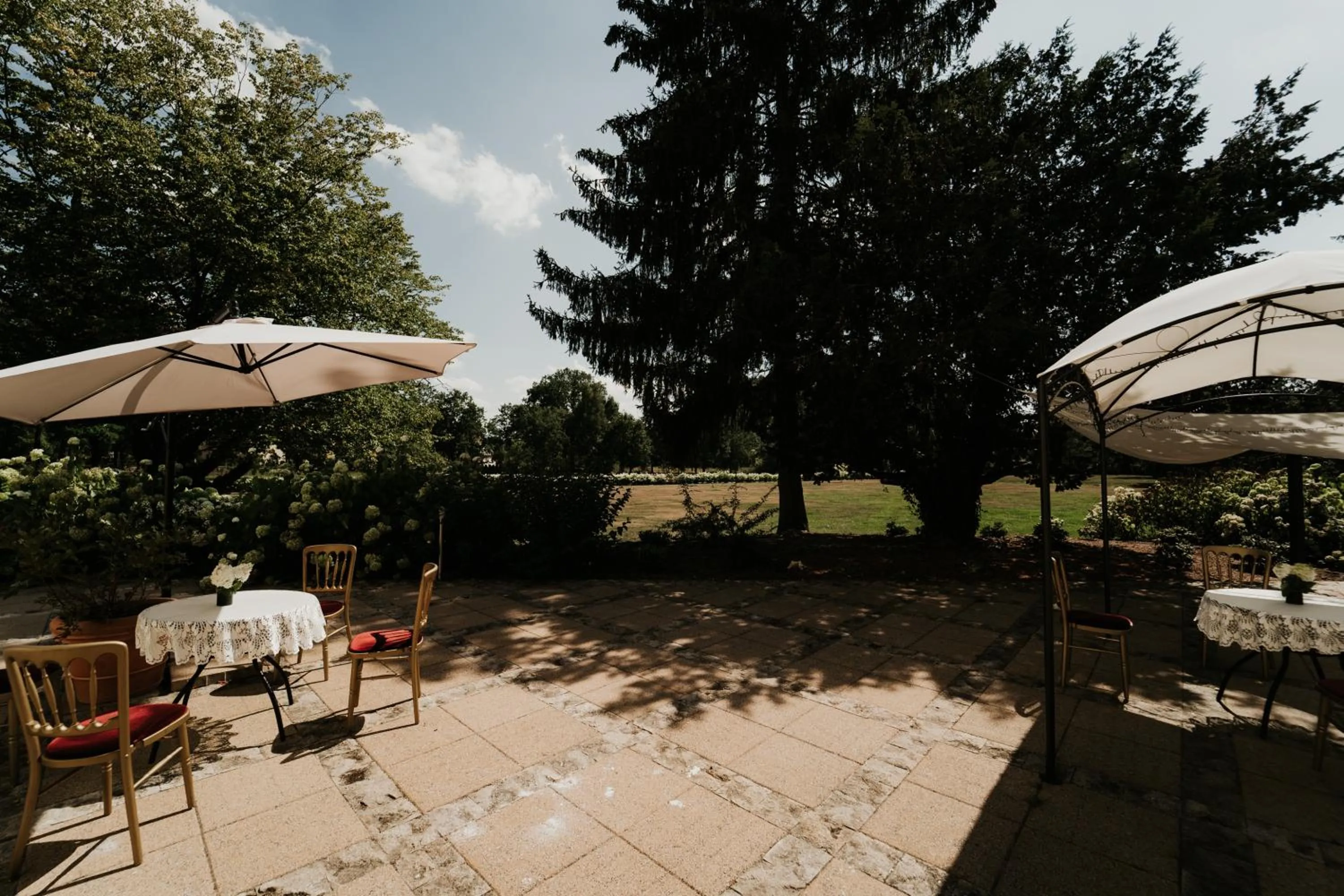 Garden in Pałac Bogaczów - noclegi - restauracja - przyjęcia