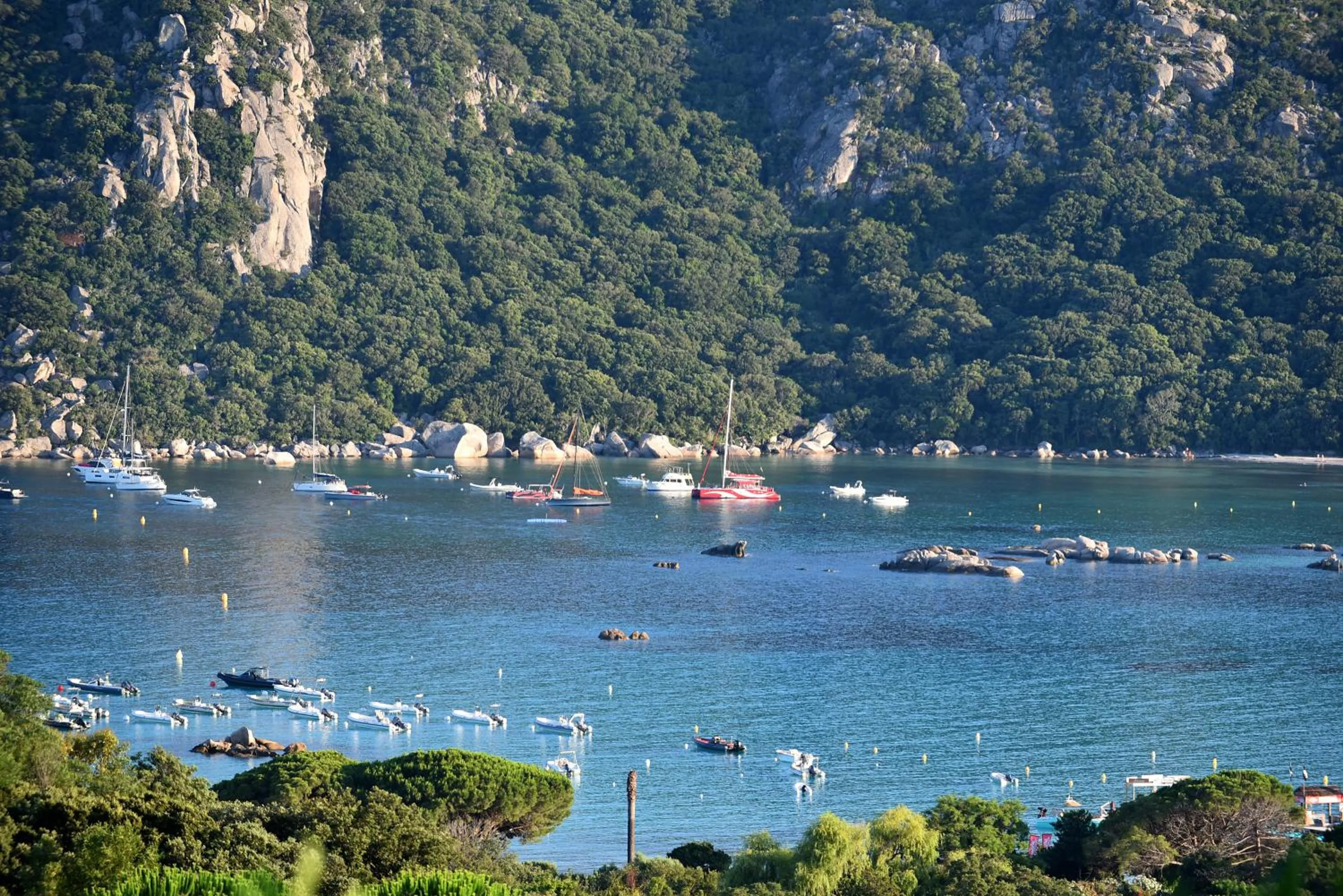 View (from property/room) in Hôtel Alivi Di Santa Giulia