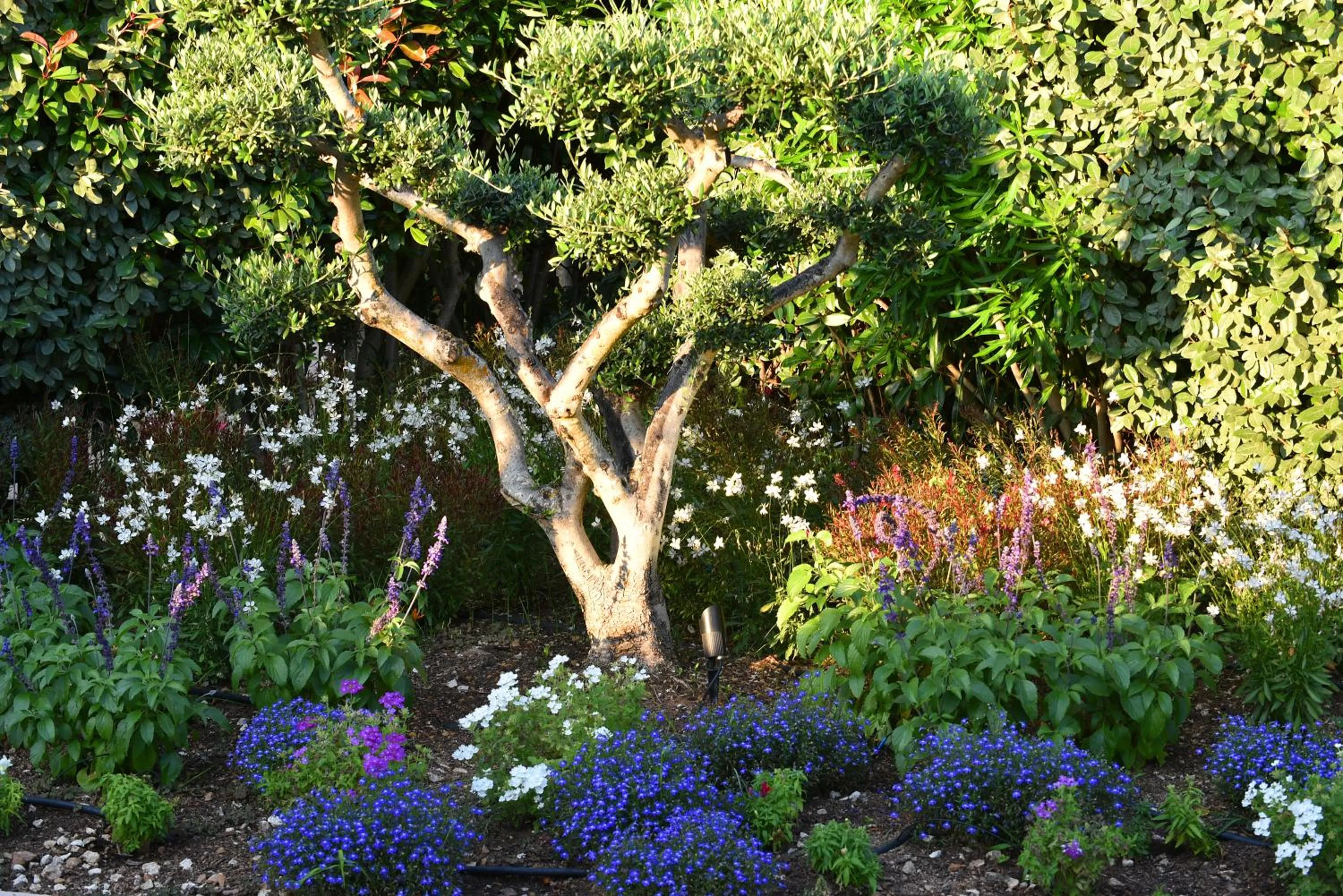 Facade/entrance in Hôtel Alivi Di Santa Giulia