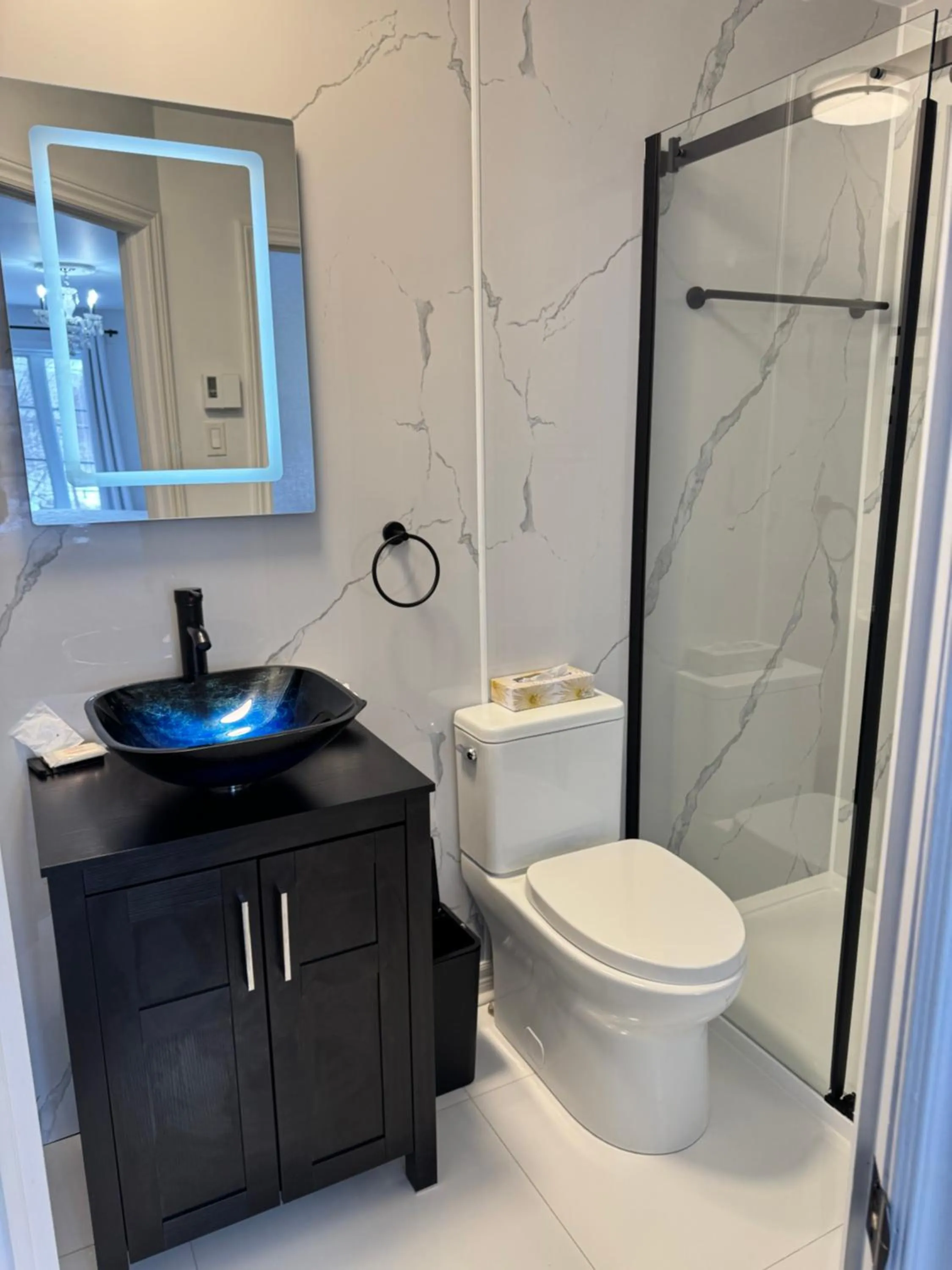 Toilet in Le 900 Tremblant Inn Café and Bistro