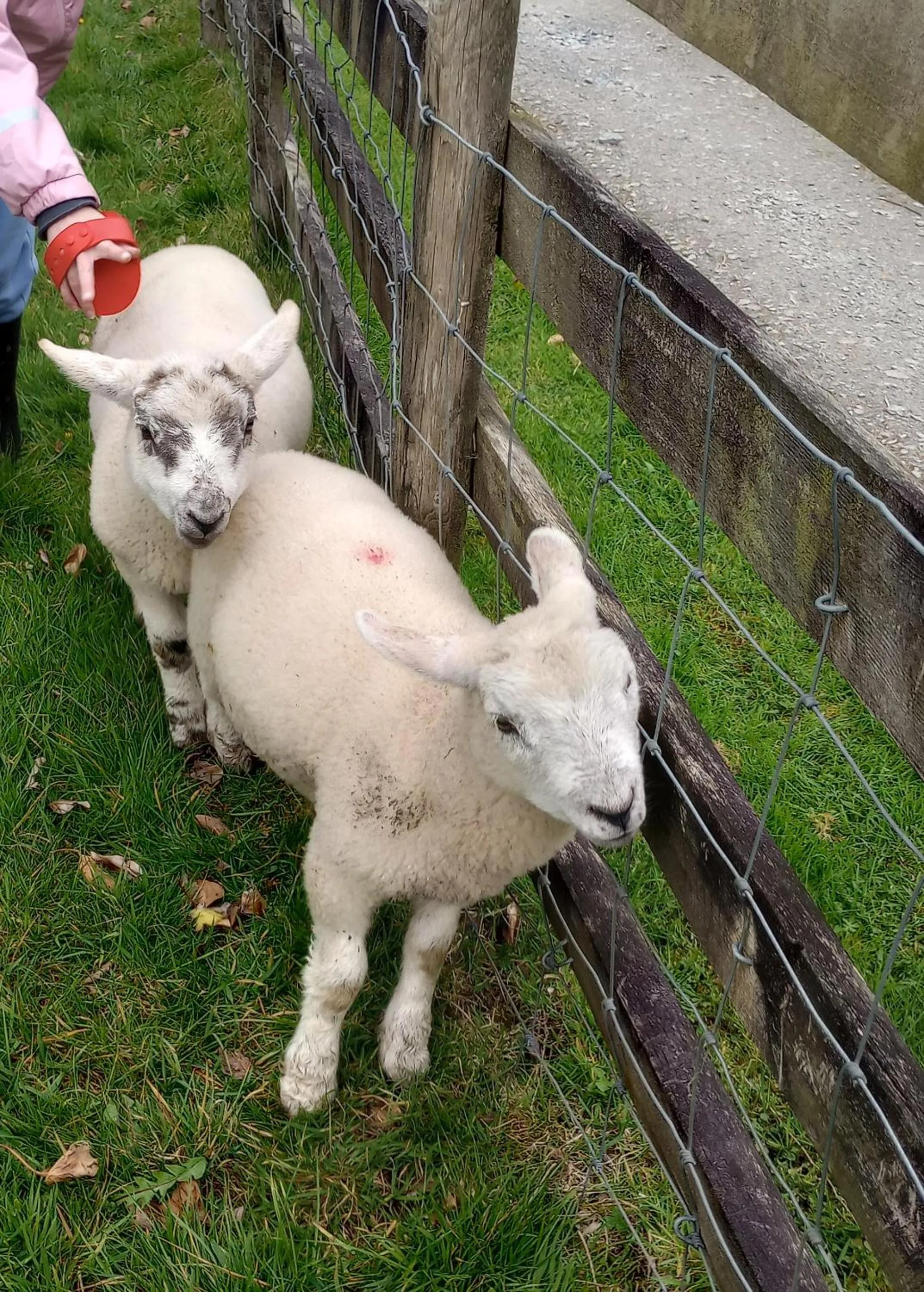 Sharlands Farm Bed and Breakfast