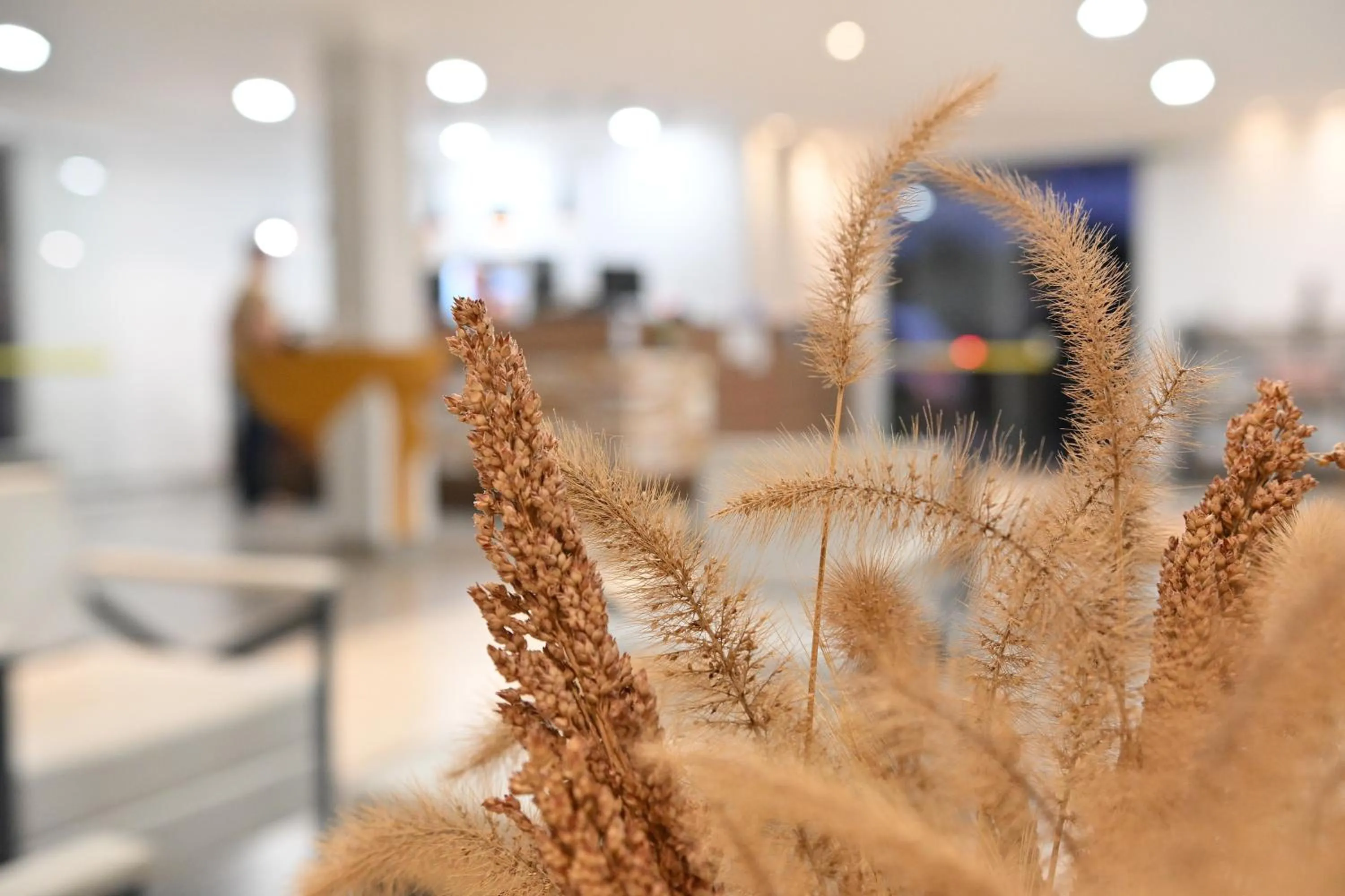 Patio in Hotel PrimeInn