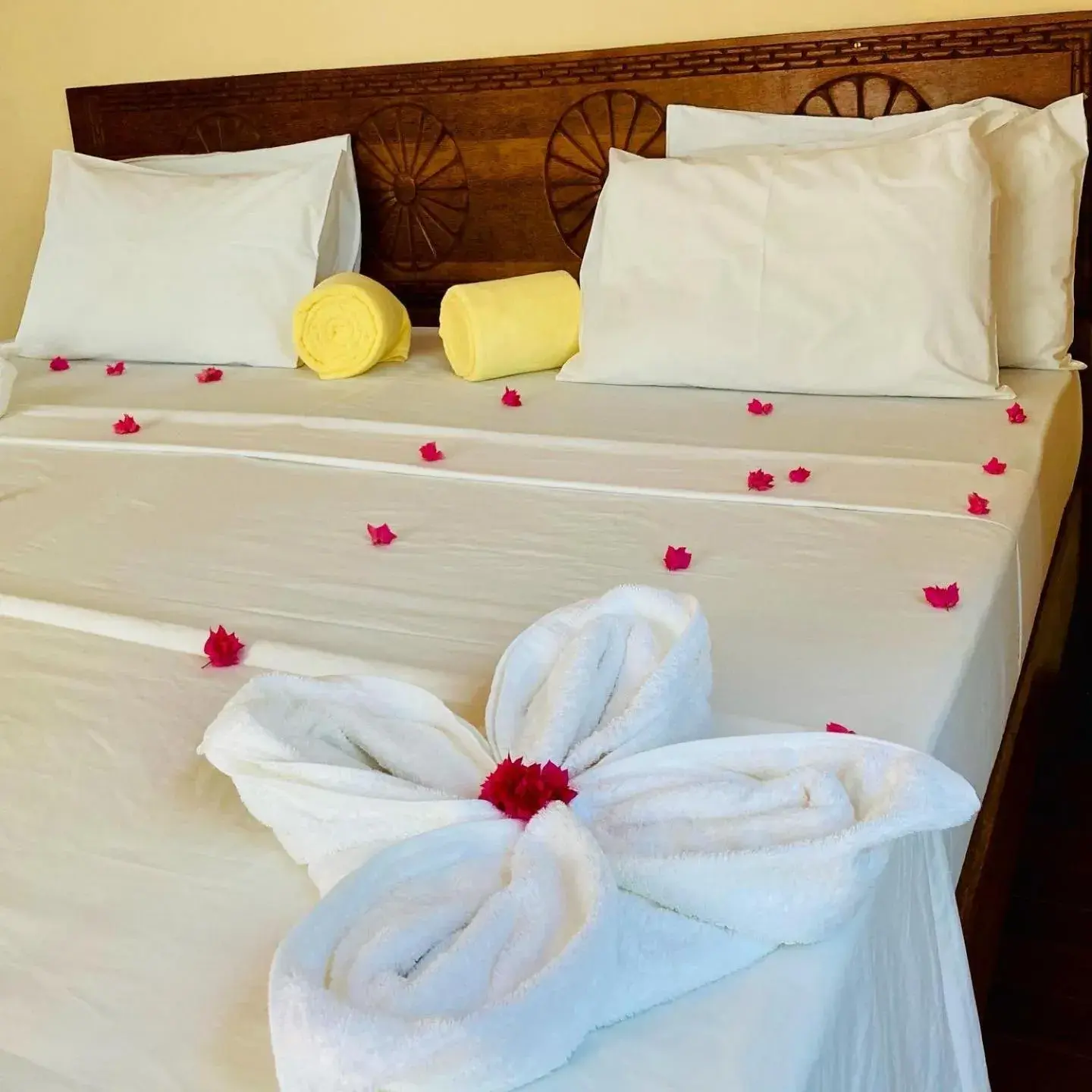 Double or Twin Side View - single occupancy in Mambo Paradise Double or Twin Side View - single occupancy in Mambo Paradise