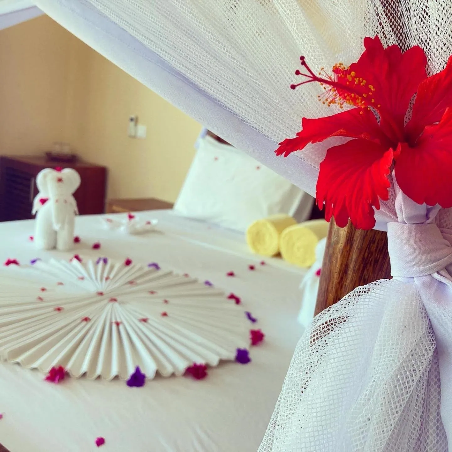 Bed in Mambo Paradise