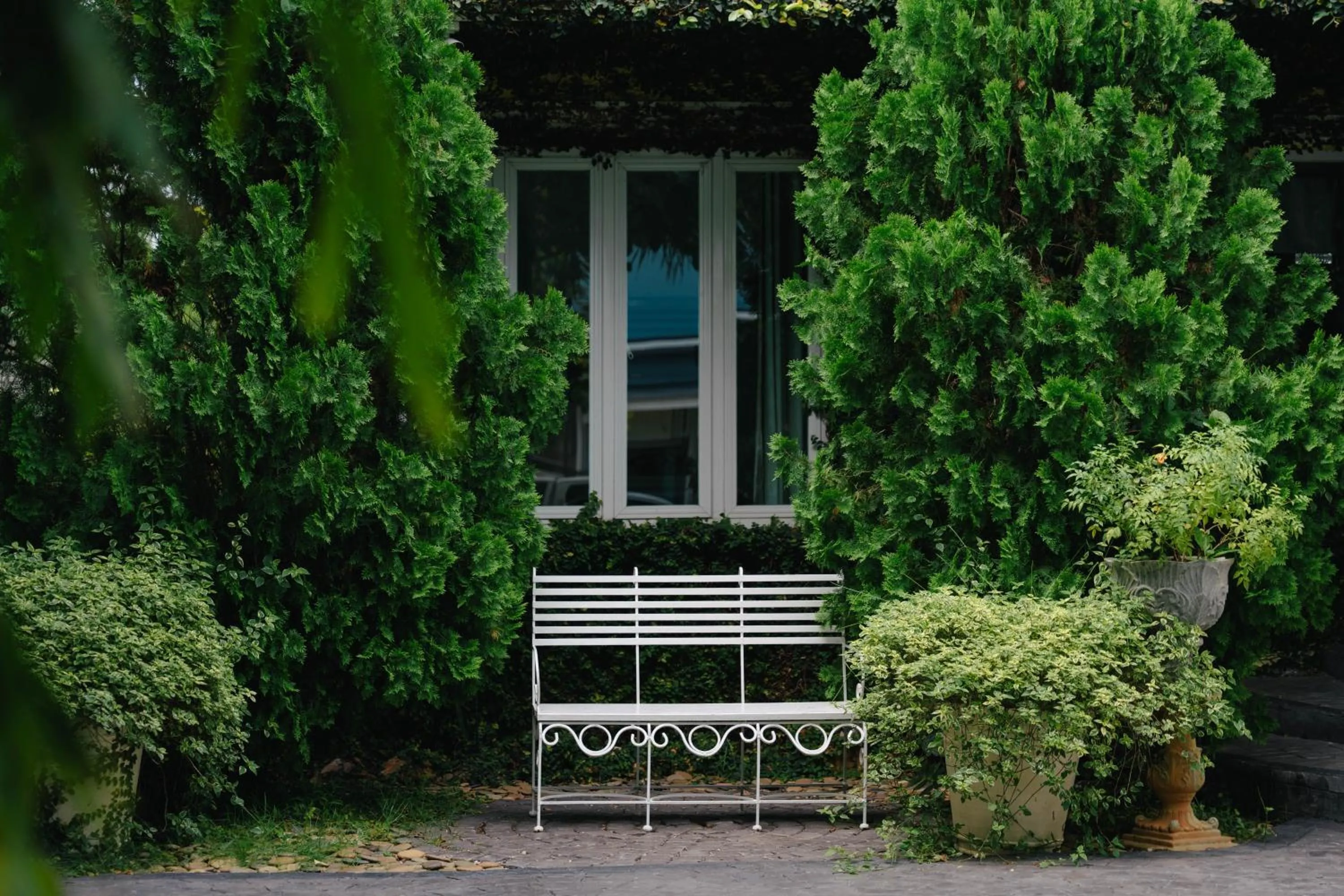 Garden view in The Target Hotel chaingrai