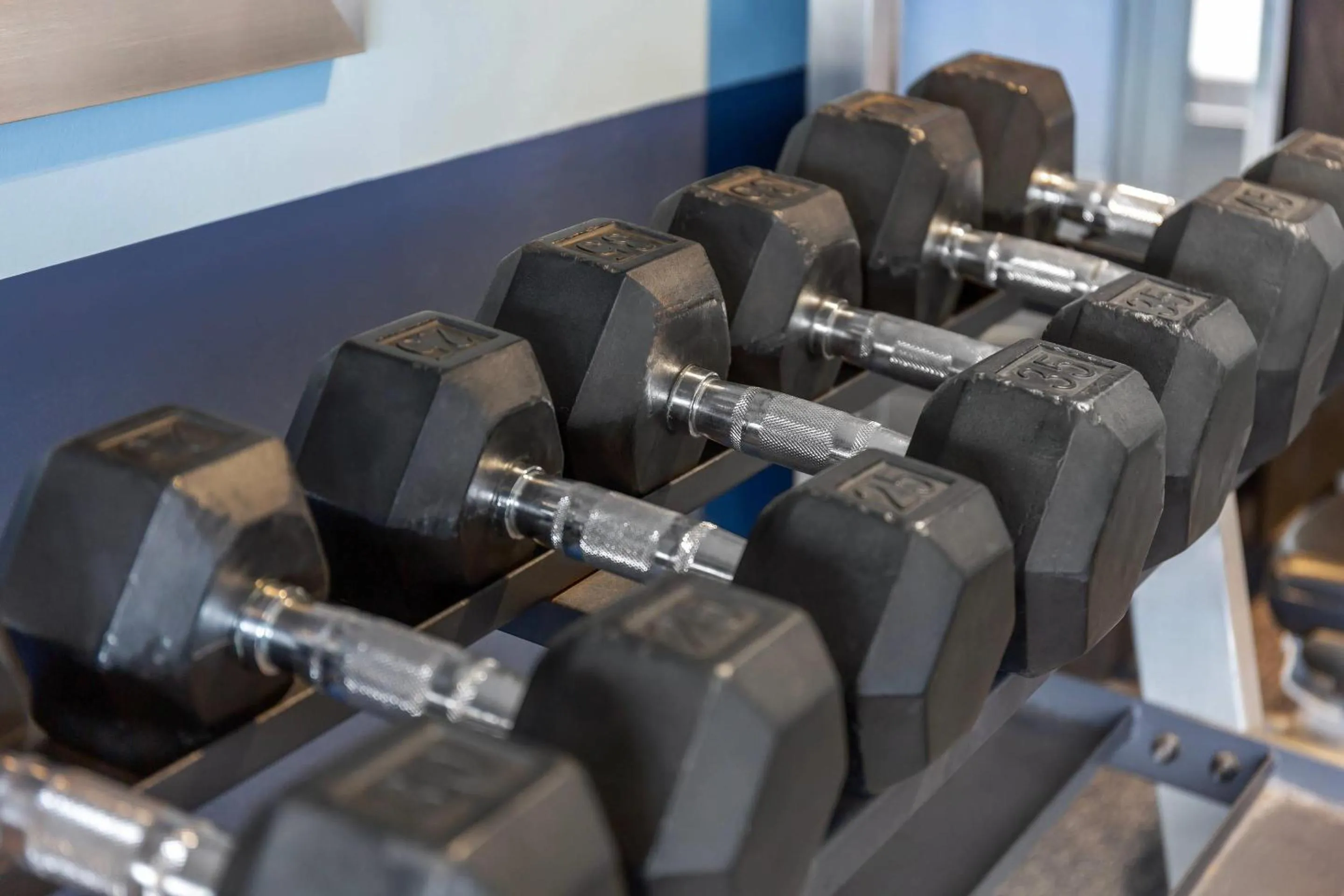 Fitness centre/facilities in Radisson Hotel Detroit Metro Airport