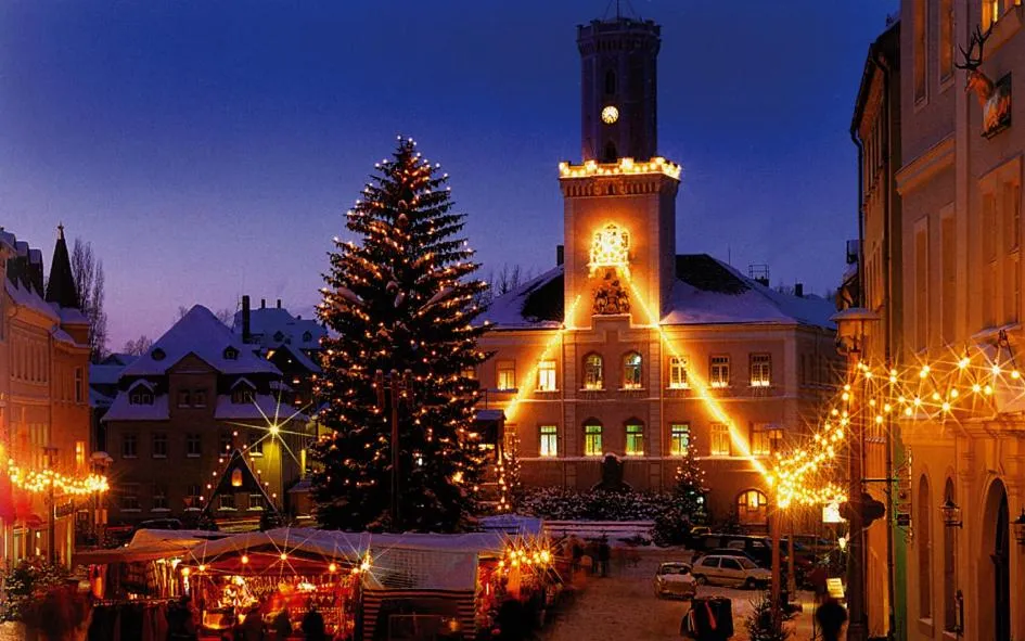 Meister BÄR HOTEL Vogtland