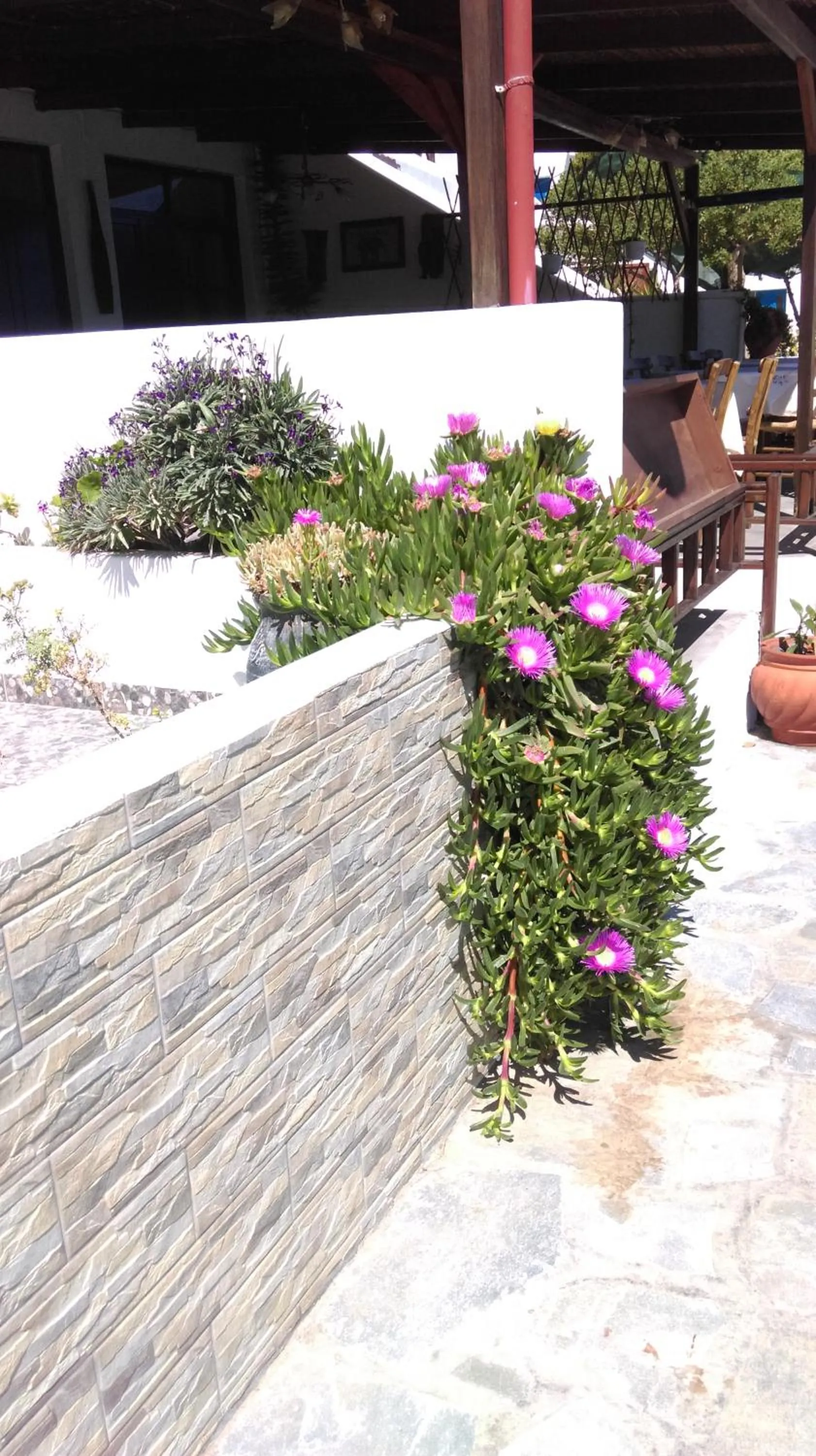 Natural landscape in Boutique Hotel Tilos Mare