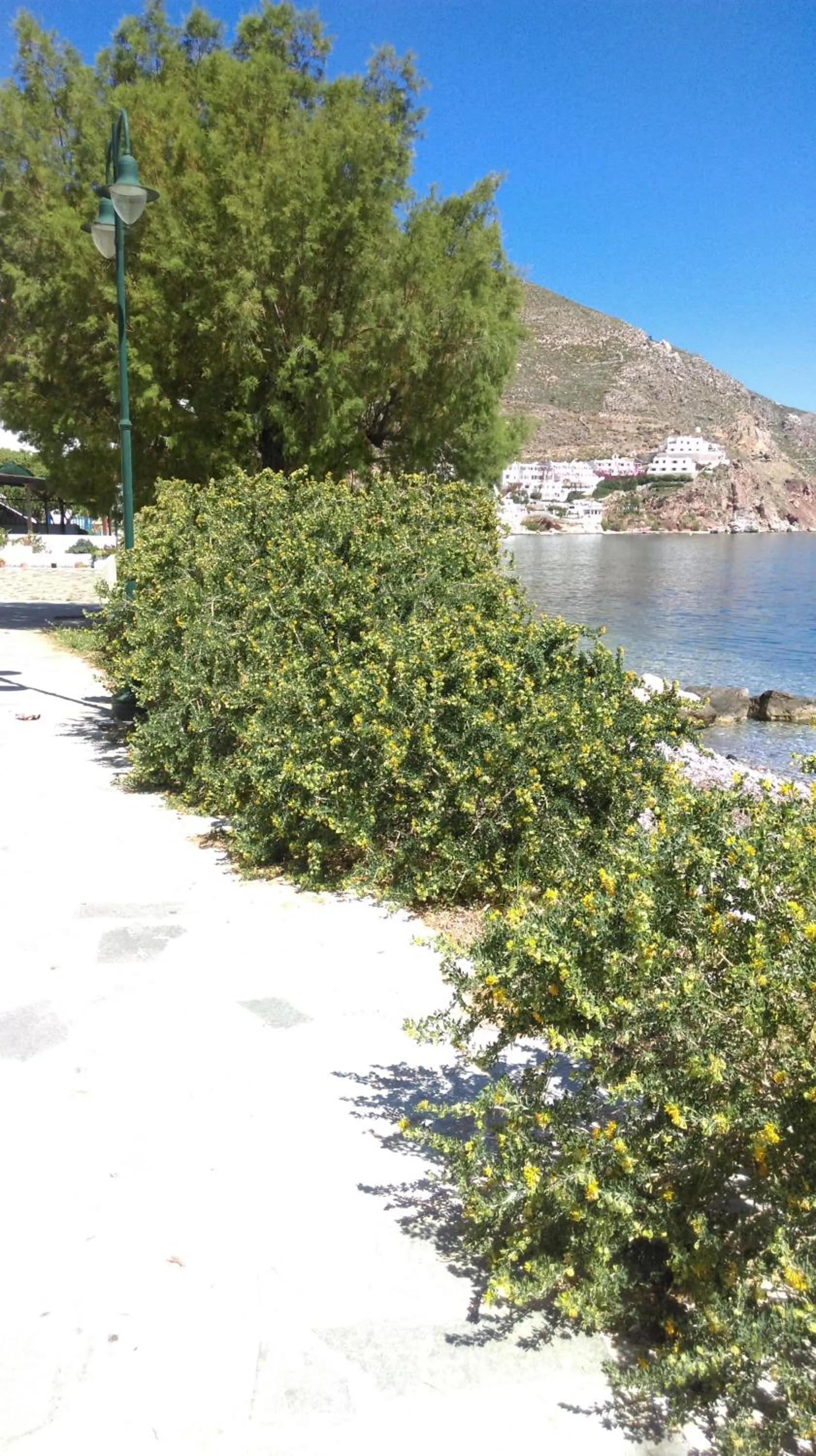 Beach in Boutique Hotel Tilos Mare