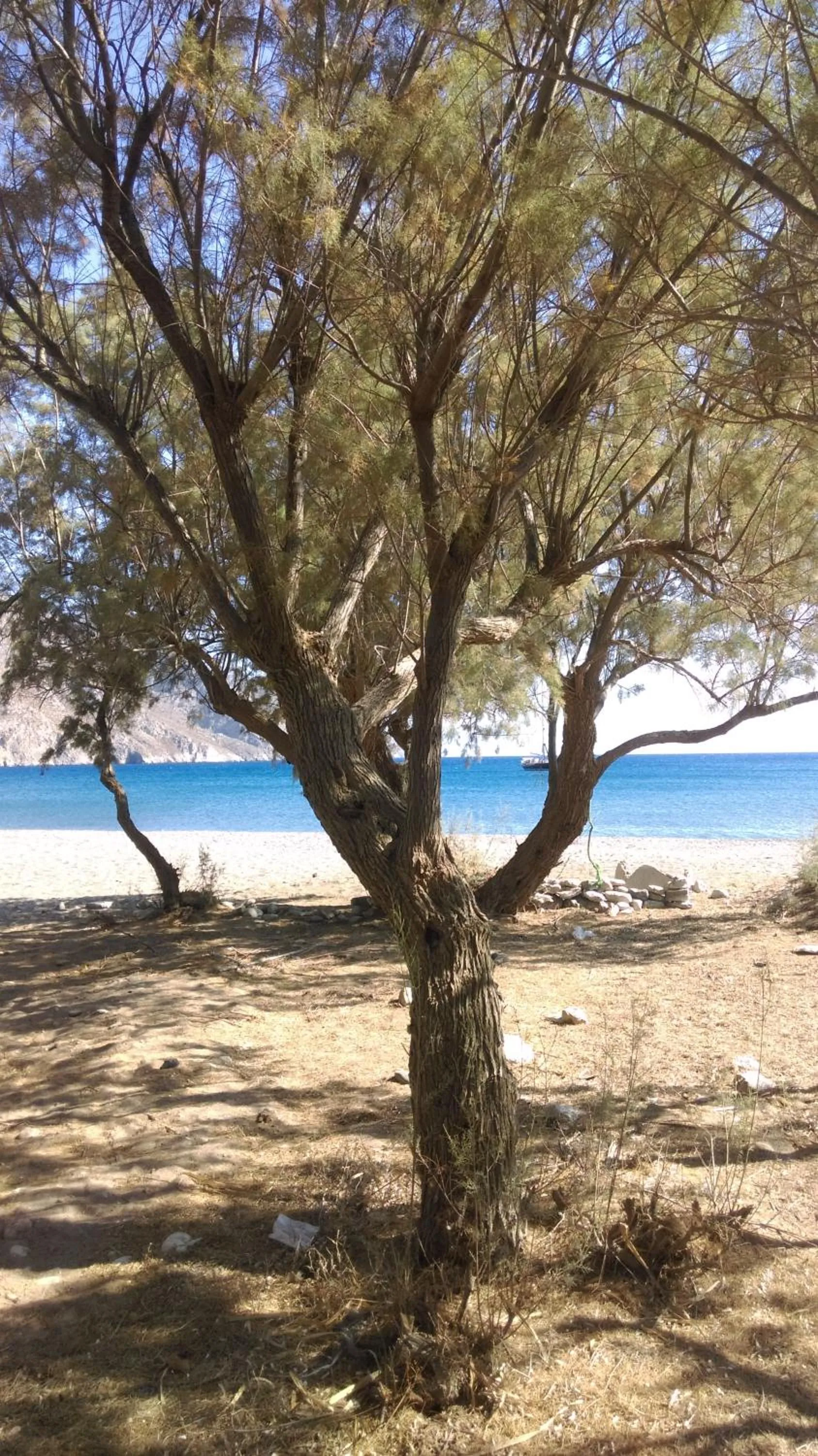 Beach in Boutique Hotel Tilos Mare