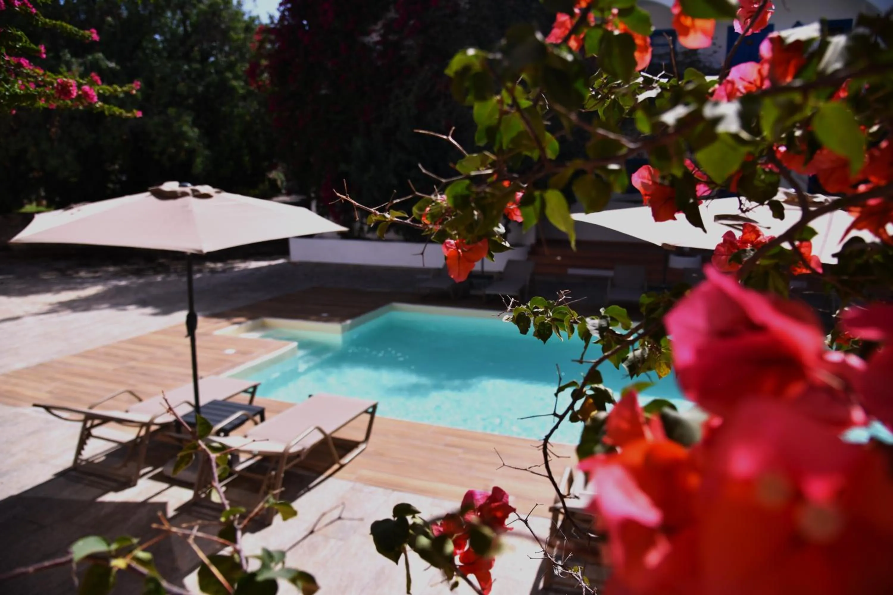Swimming pool in Boutique Hotel Tilos Mare