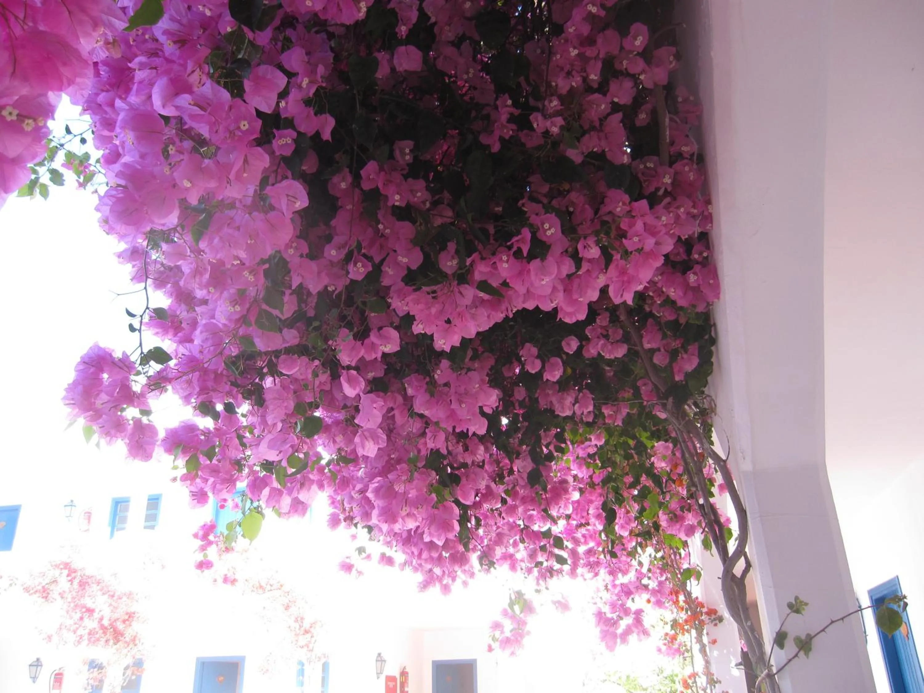 Floor plan in Boutique Hotel Tilos Mare