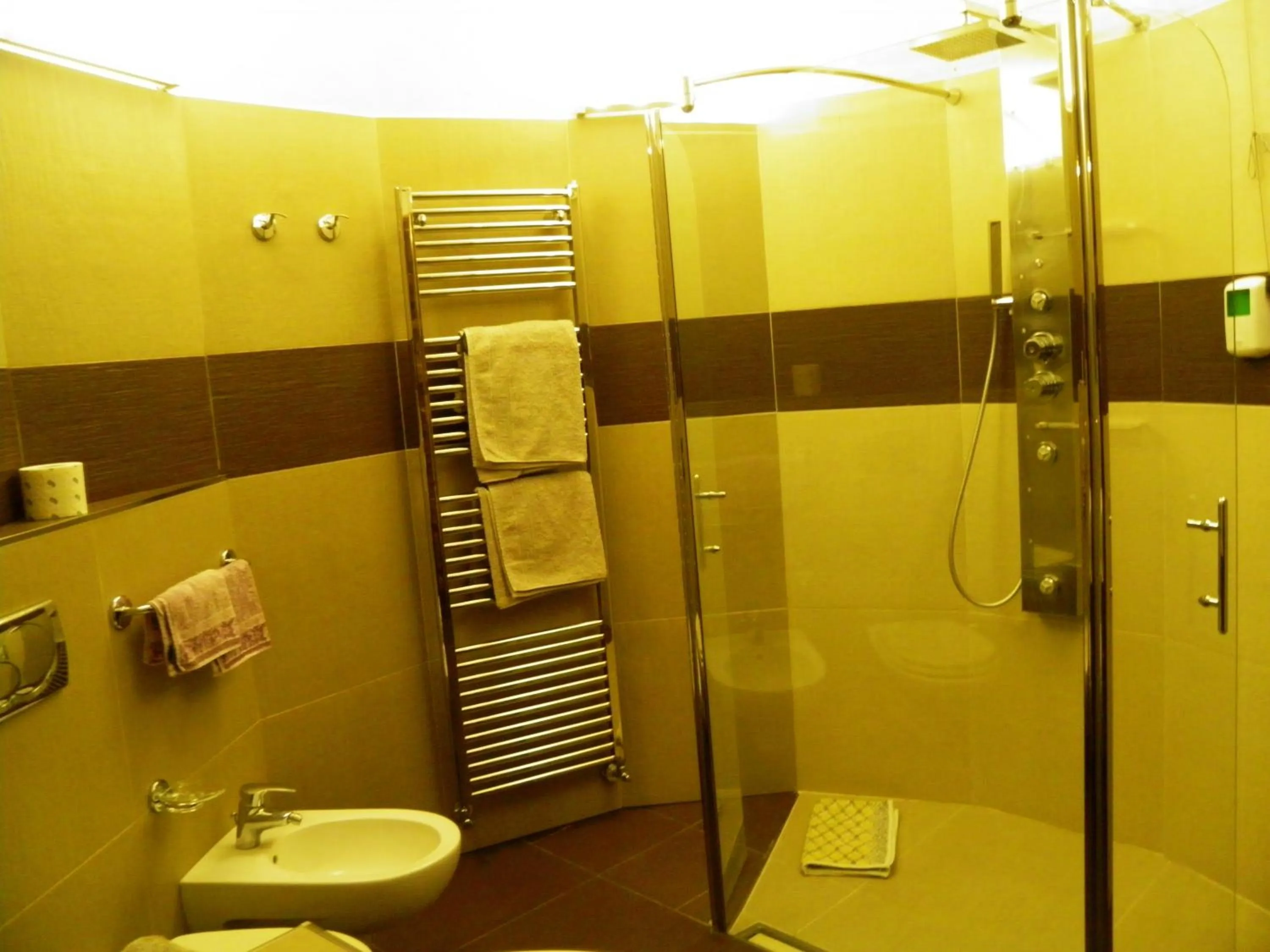 Bathroom in Hotel Pontiglia