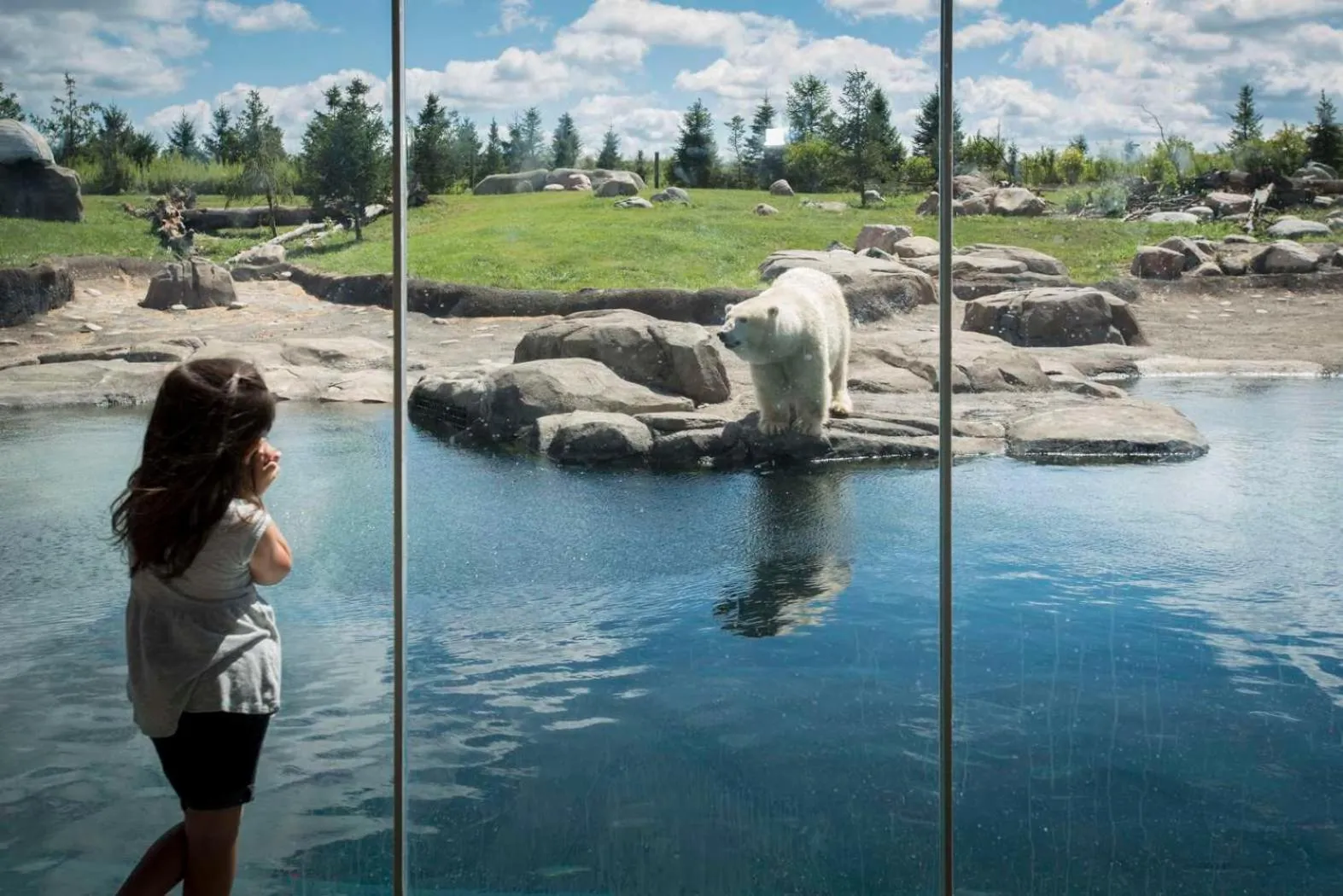 Activities in Hyatt Place Columbus Polaris