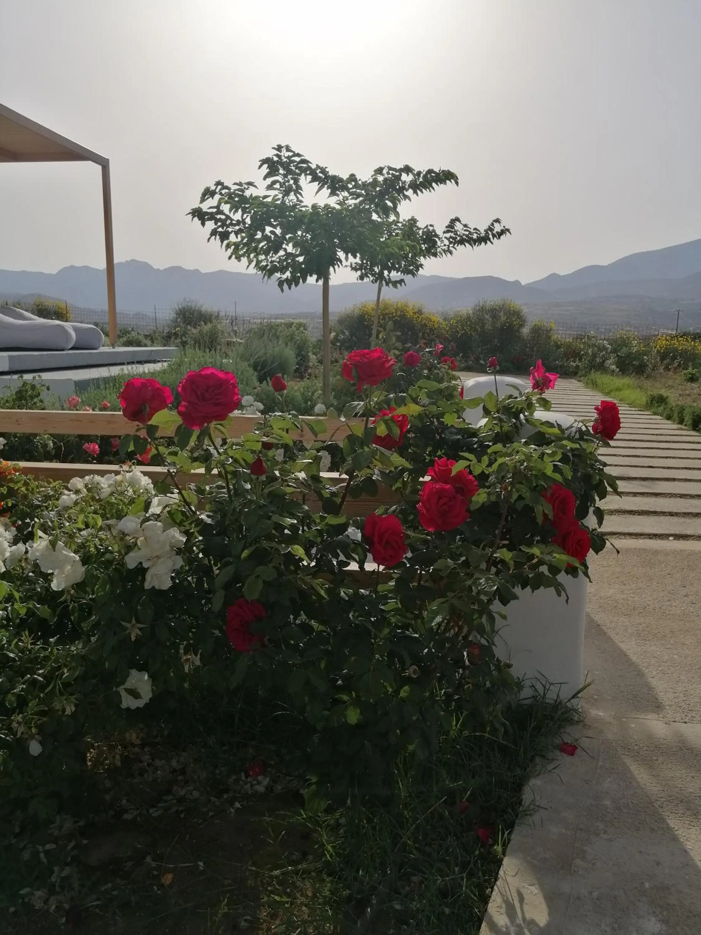 Day in Xerolithos Natural Living