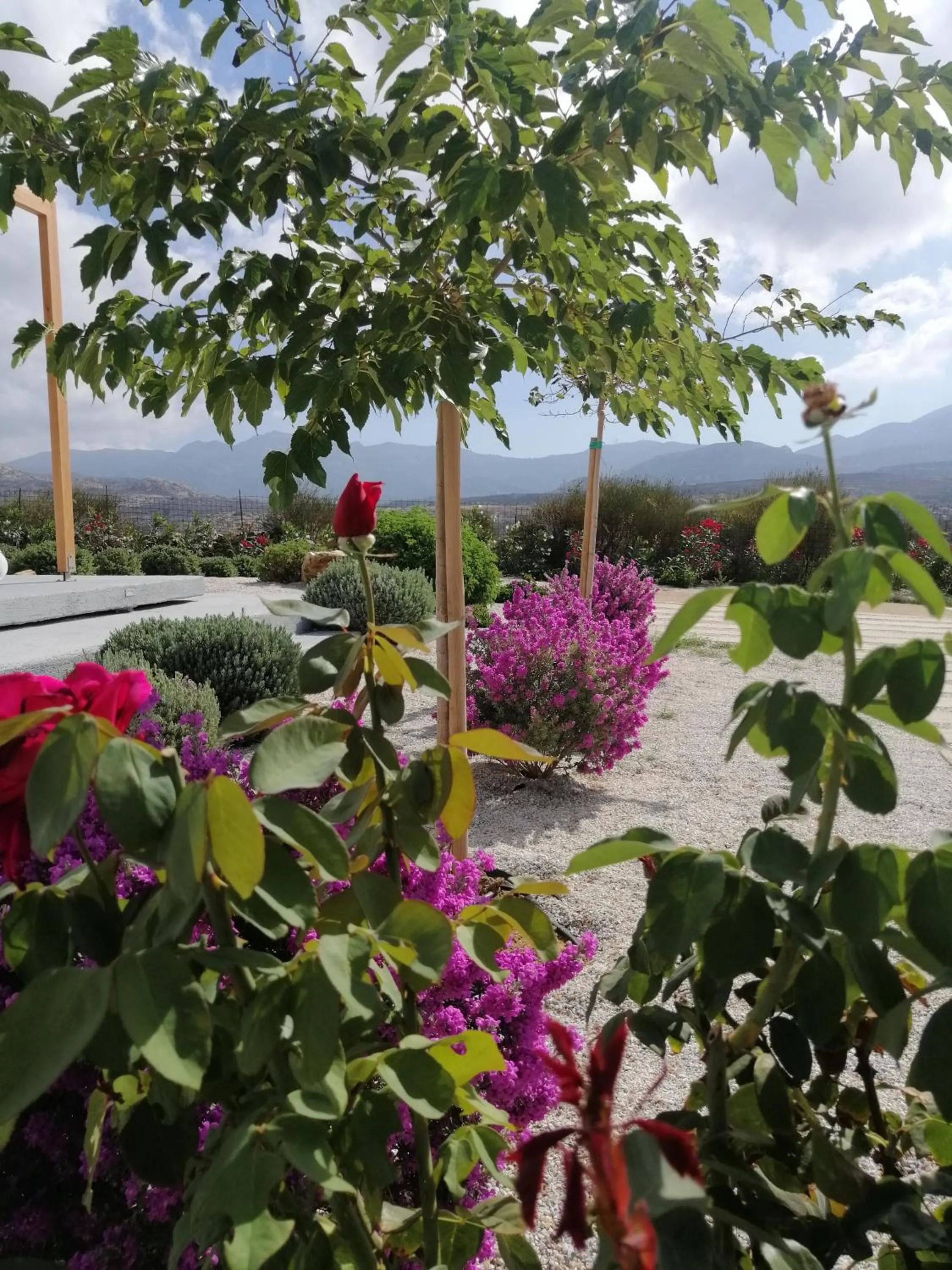 Day in Xerolithos Natural Living