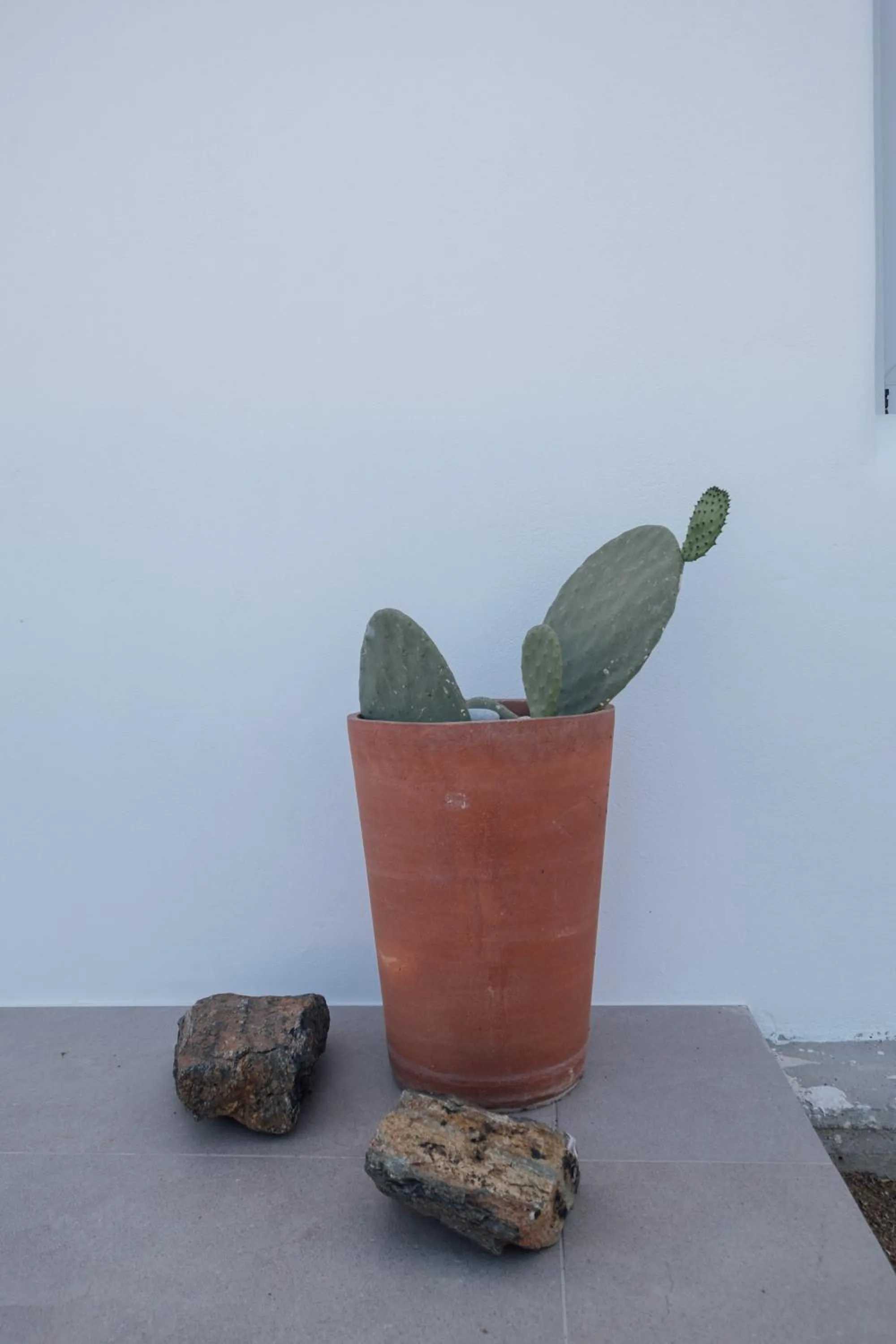 Balcony/Terrace in Xerolithos Natural Living