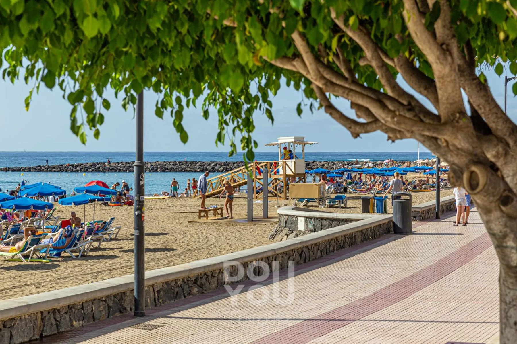 Area and facilities in Apartment Paraiso Royal