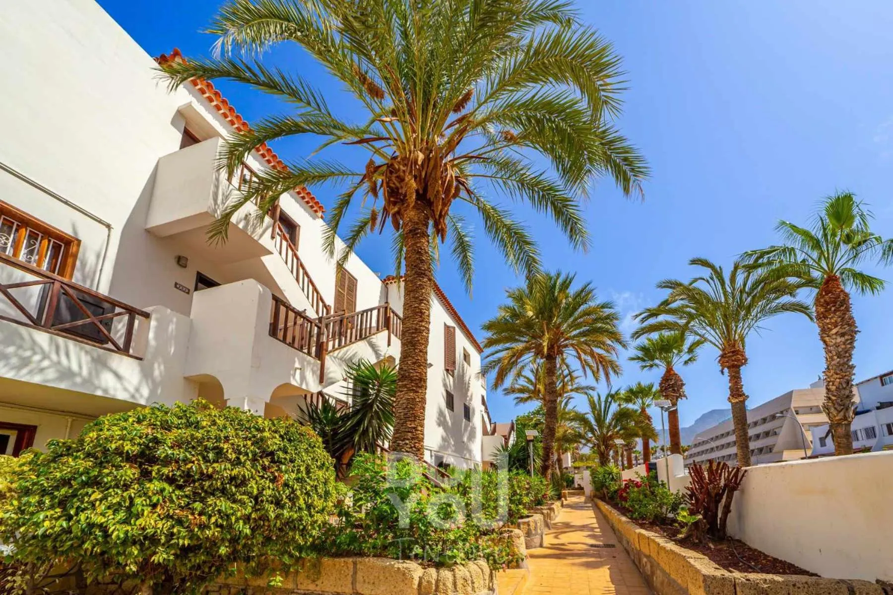 Property building in Apartment Paraiso Royal