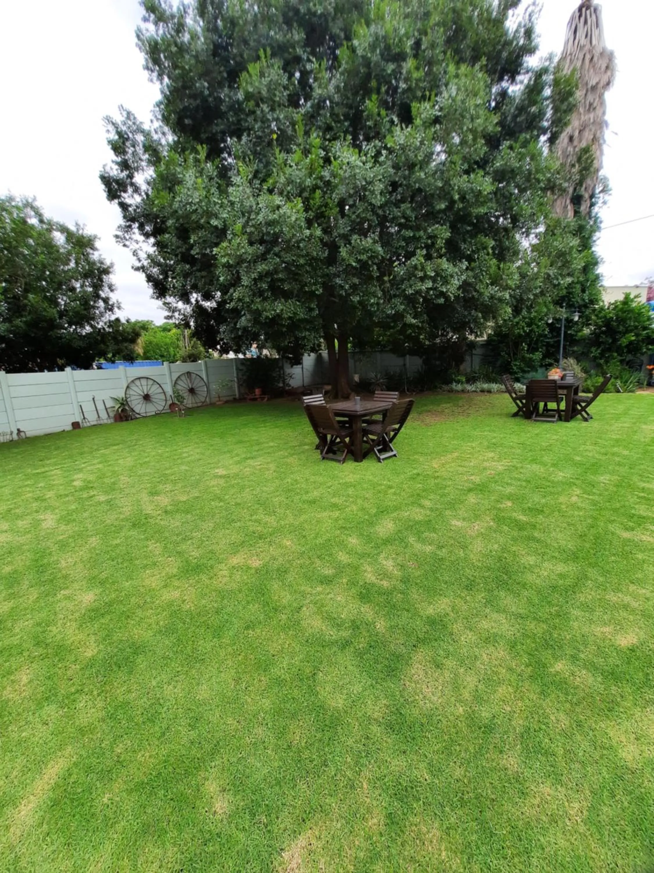 Garden view in Villa Beryl Guesthouse