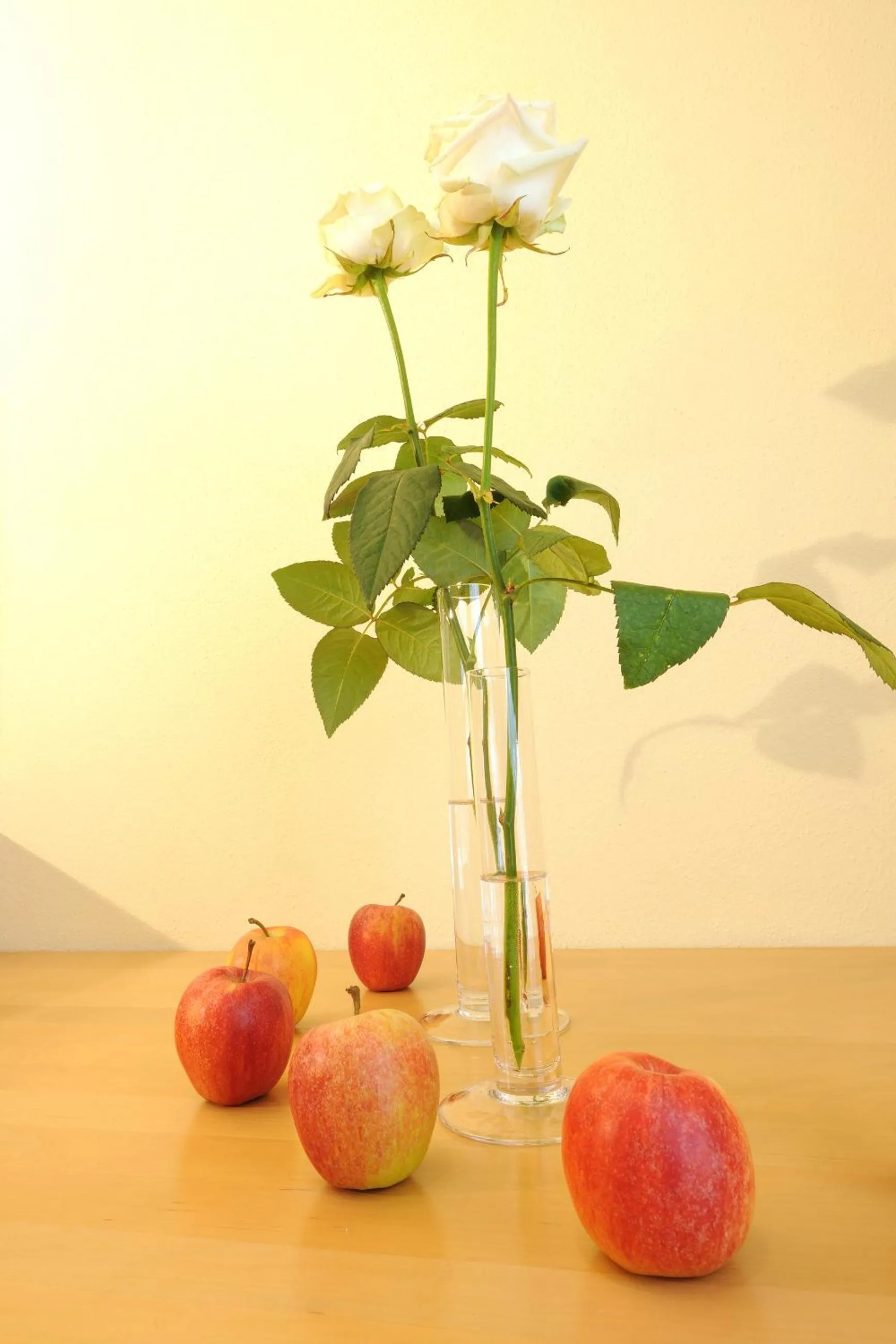 Decorative detail in Aparthotel Kristall