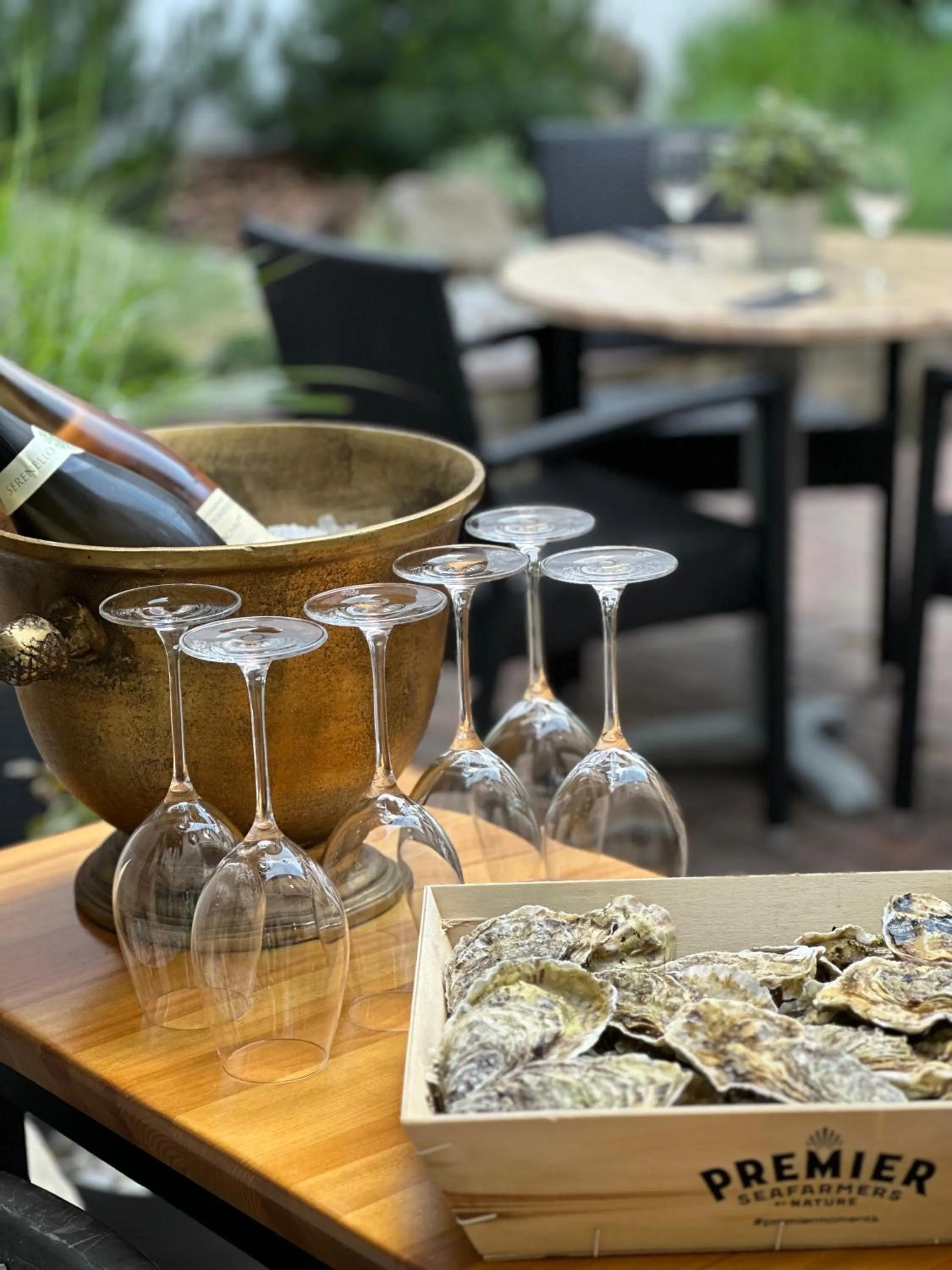 Restaurant/places to eat in Hotel Rango