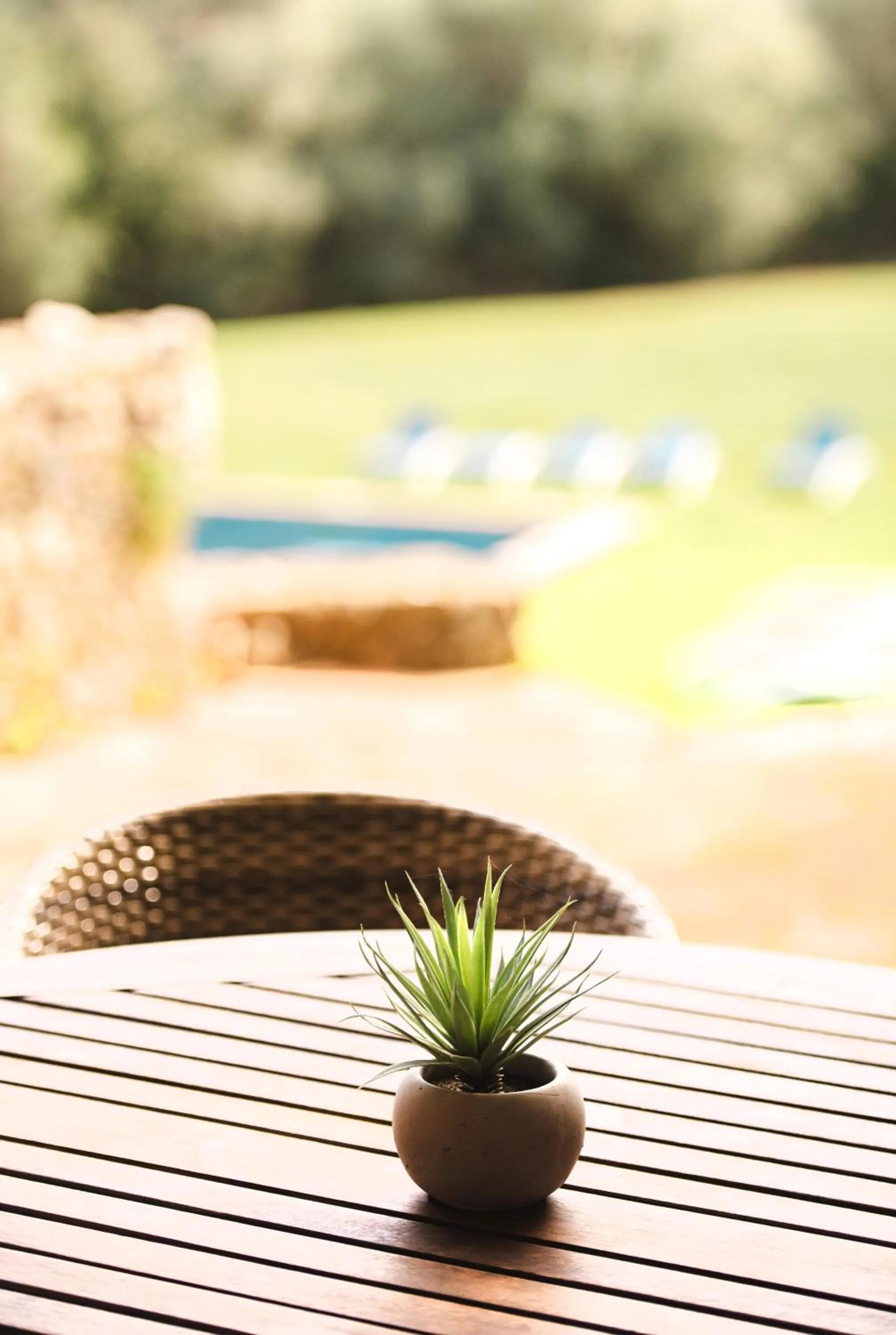 Balcony/Terrace in Can Margarit