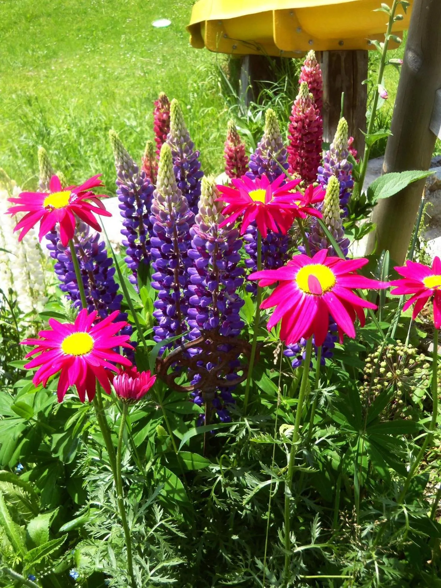 Garden in Hubengut Bed and Breakfast
