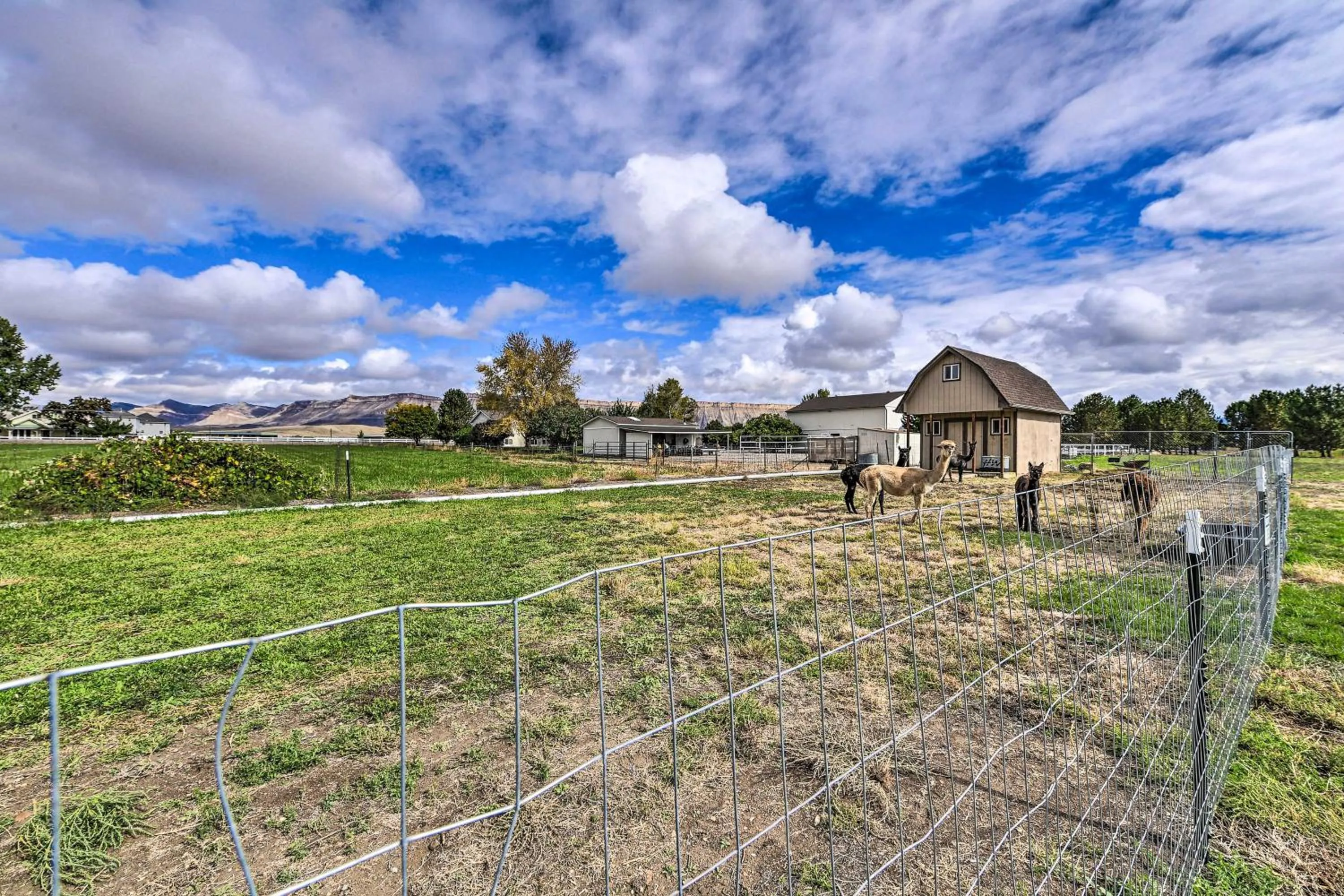 The Vineyard Country Farm Home at Grand Valley