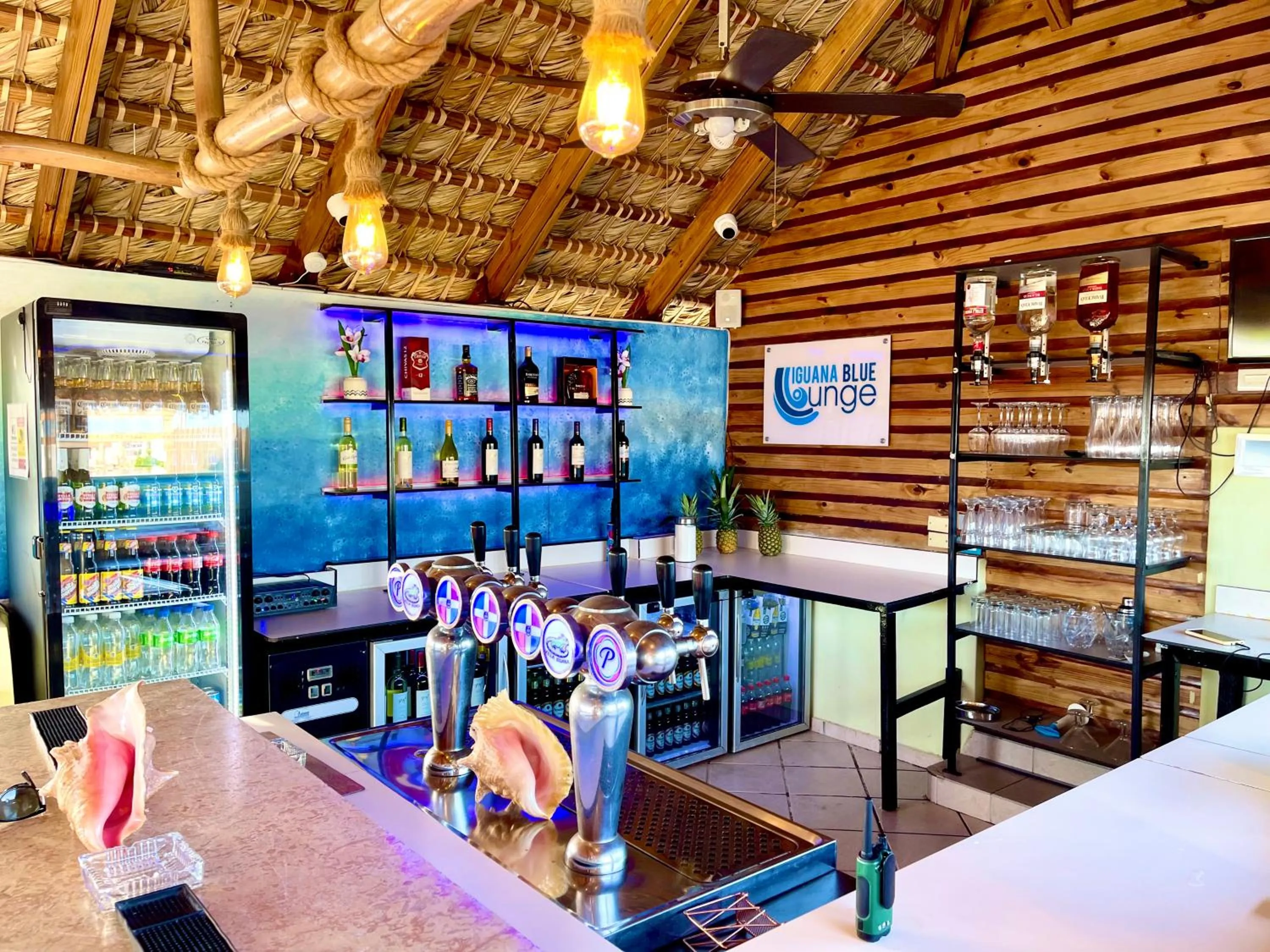 Restaurant/places to eat in Villa Iguana