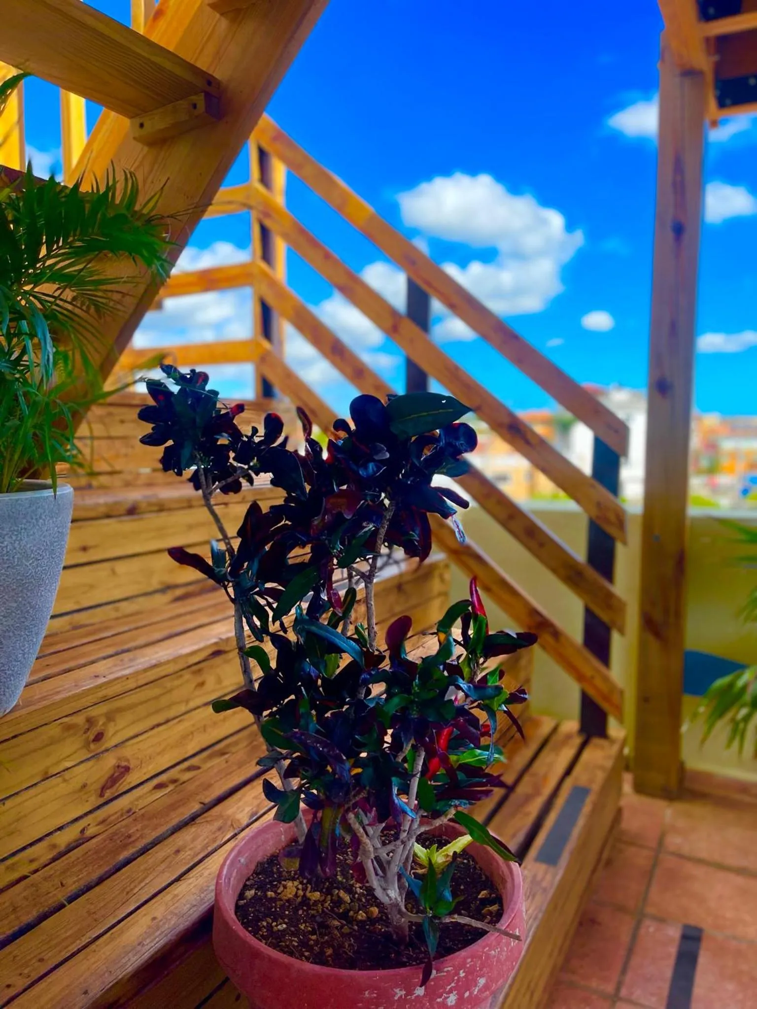 Property building in Villa Iguana