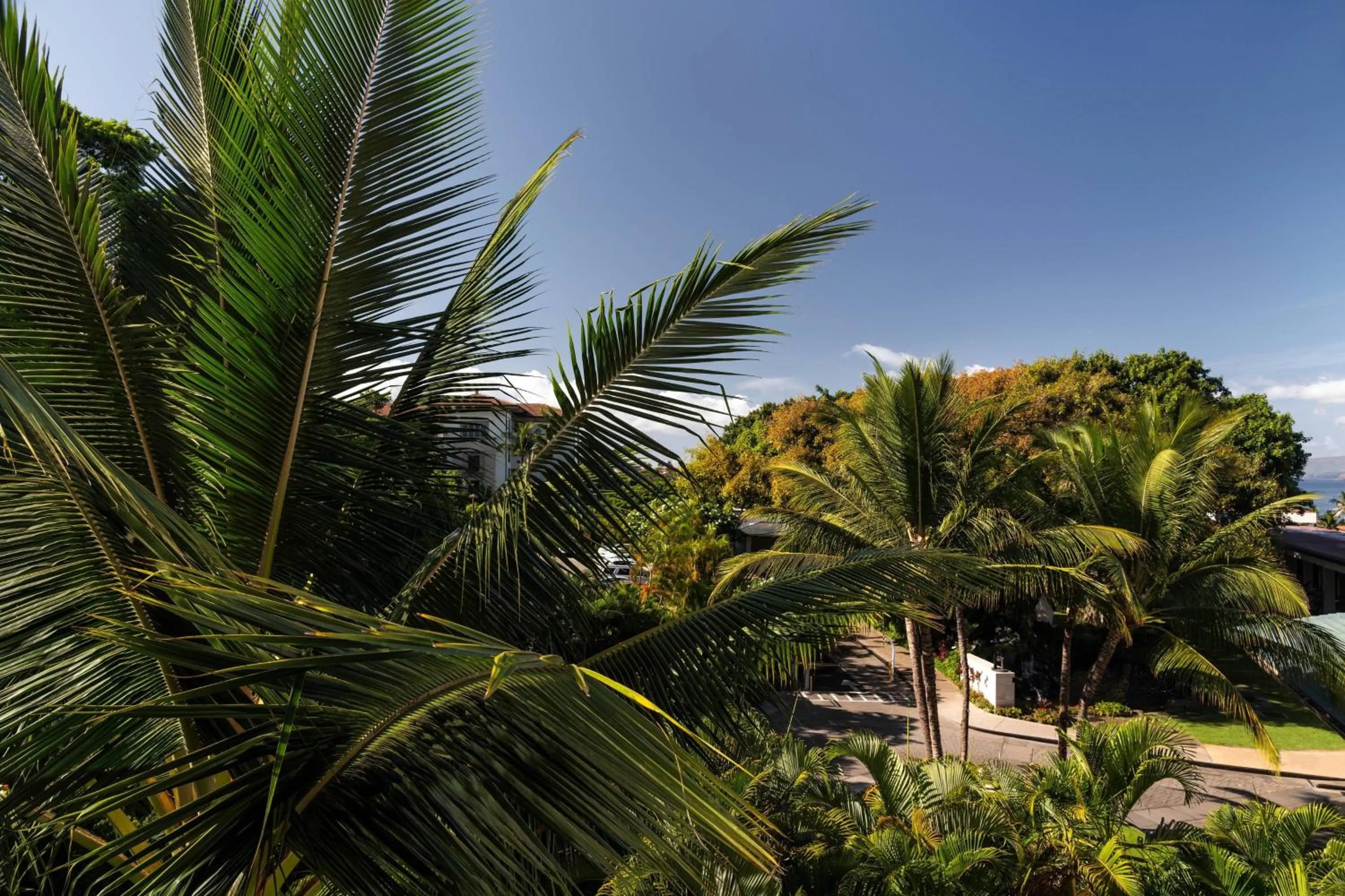 Photo of the whole room in Wailea Beach Resort - Marriott, Maui