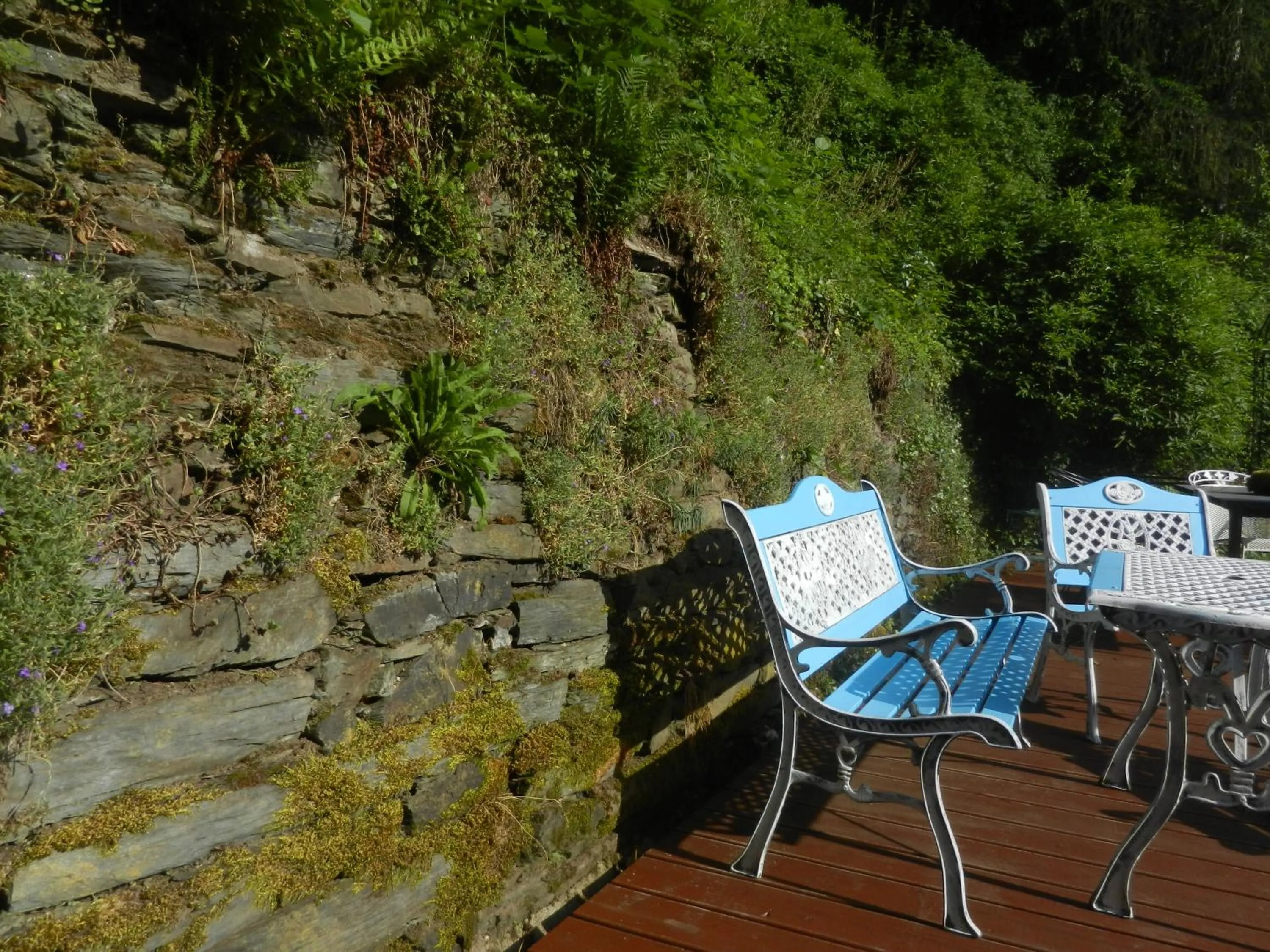 Activities in Boutique-Hotel Jungenwald