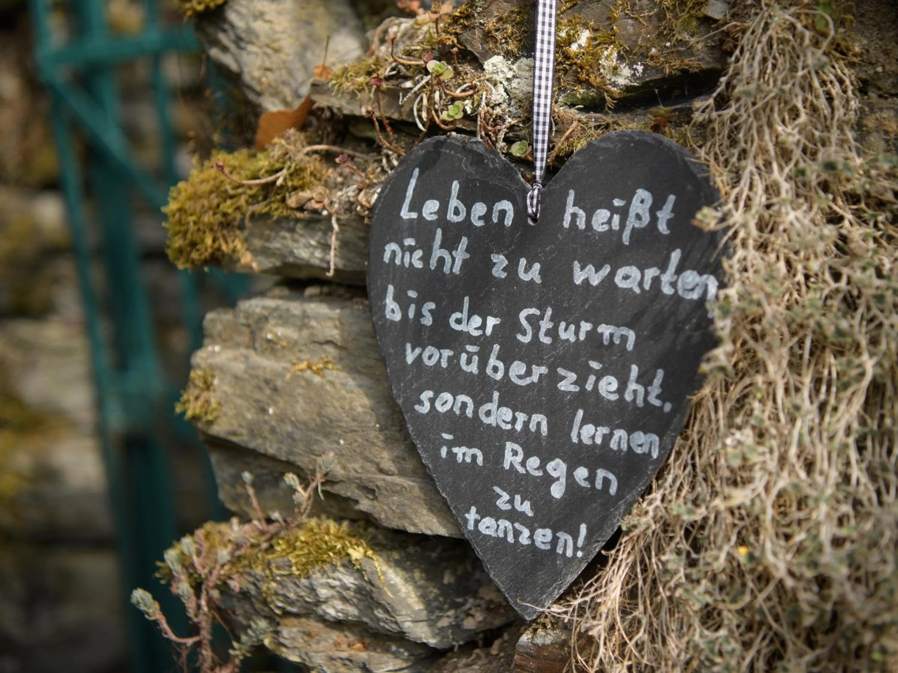 Property building, Logo/Certificate/Sign/Award in Boutique-Hotel Jungenwald