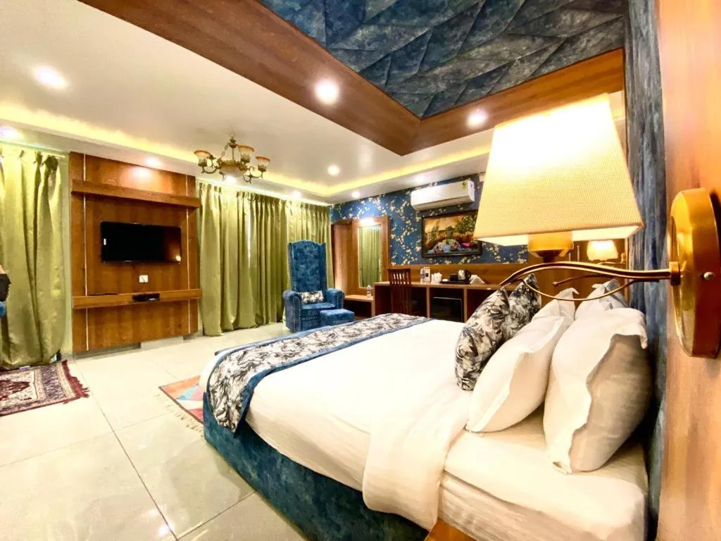 TV and multimedia, Bed in Hotel Woodville Inn - Hotel in Mcleodganj