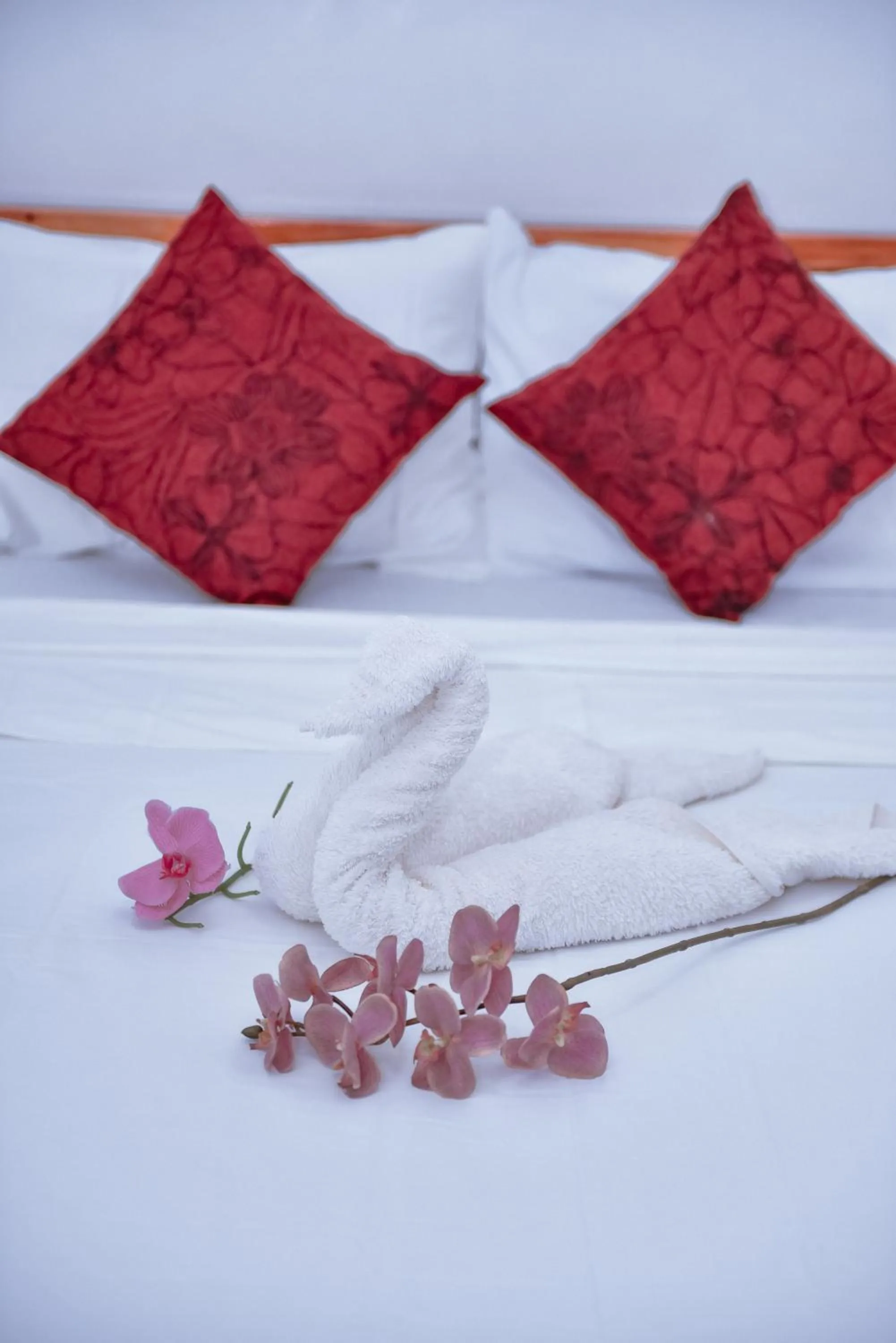 Bed in Hotel Don Raul