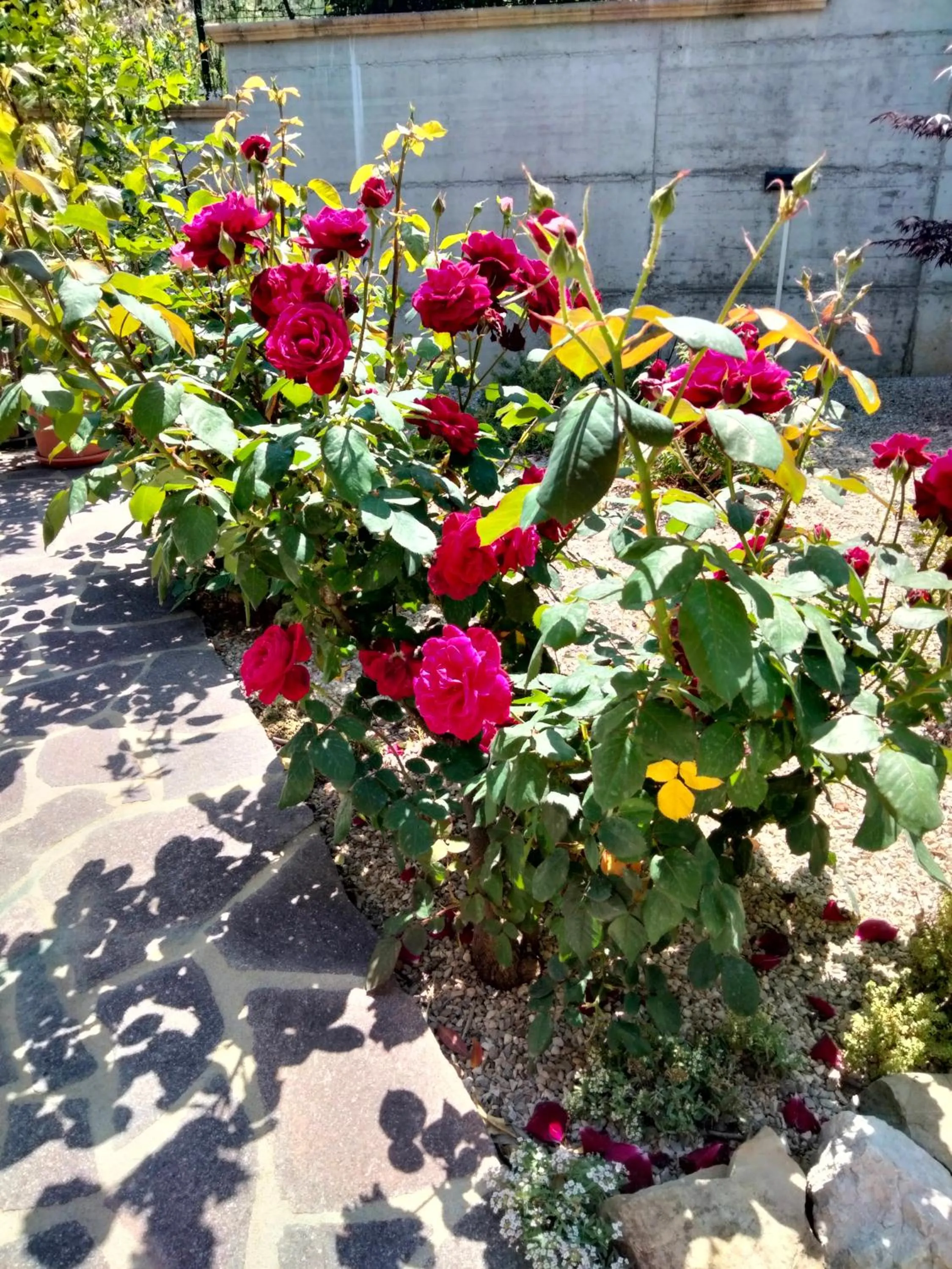 Spring in B&B La Casa di Giuliana