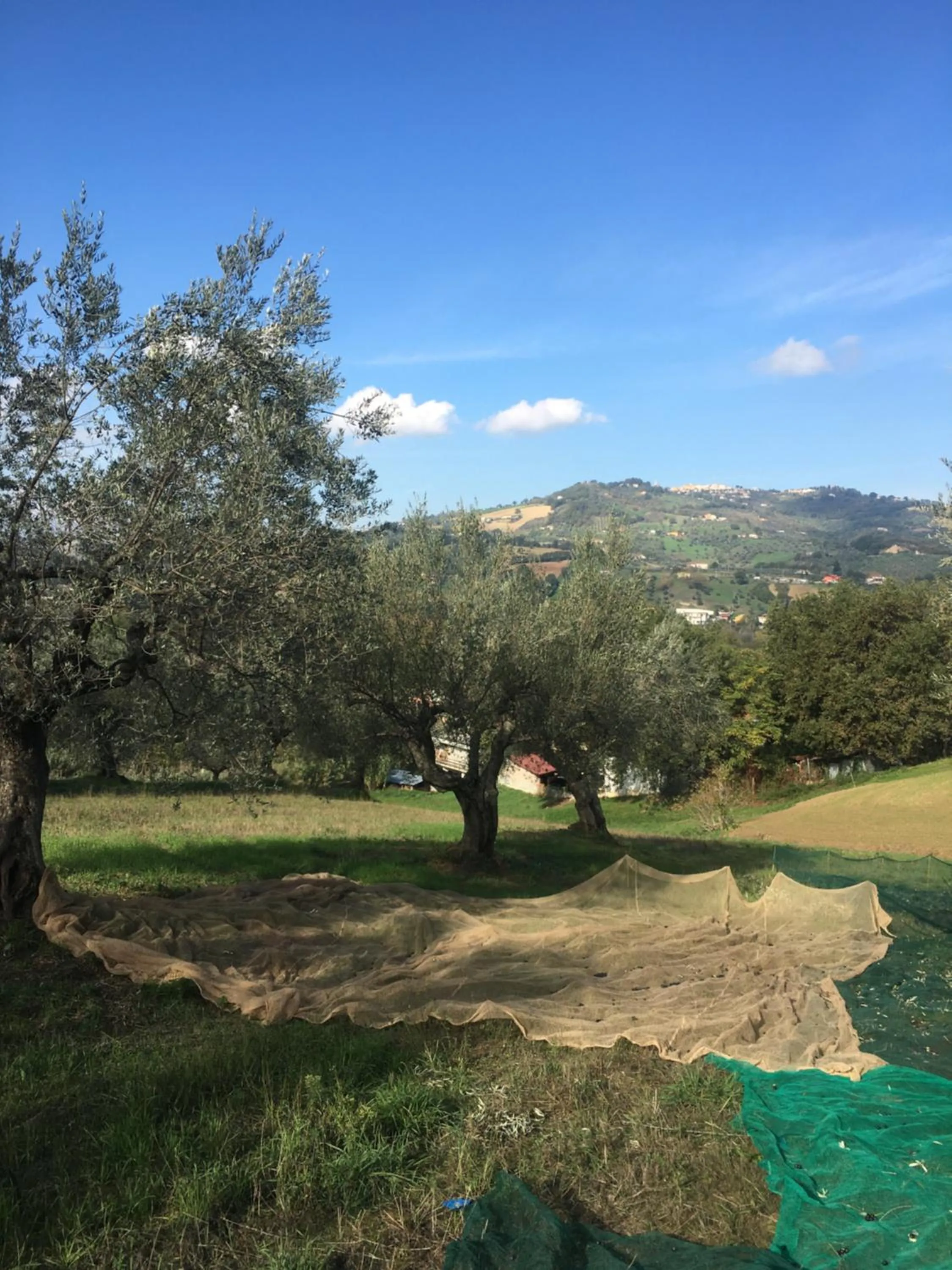 Natural landscape in B&B La Casa di Giuliana