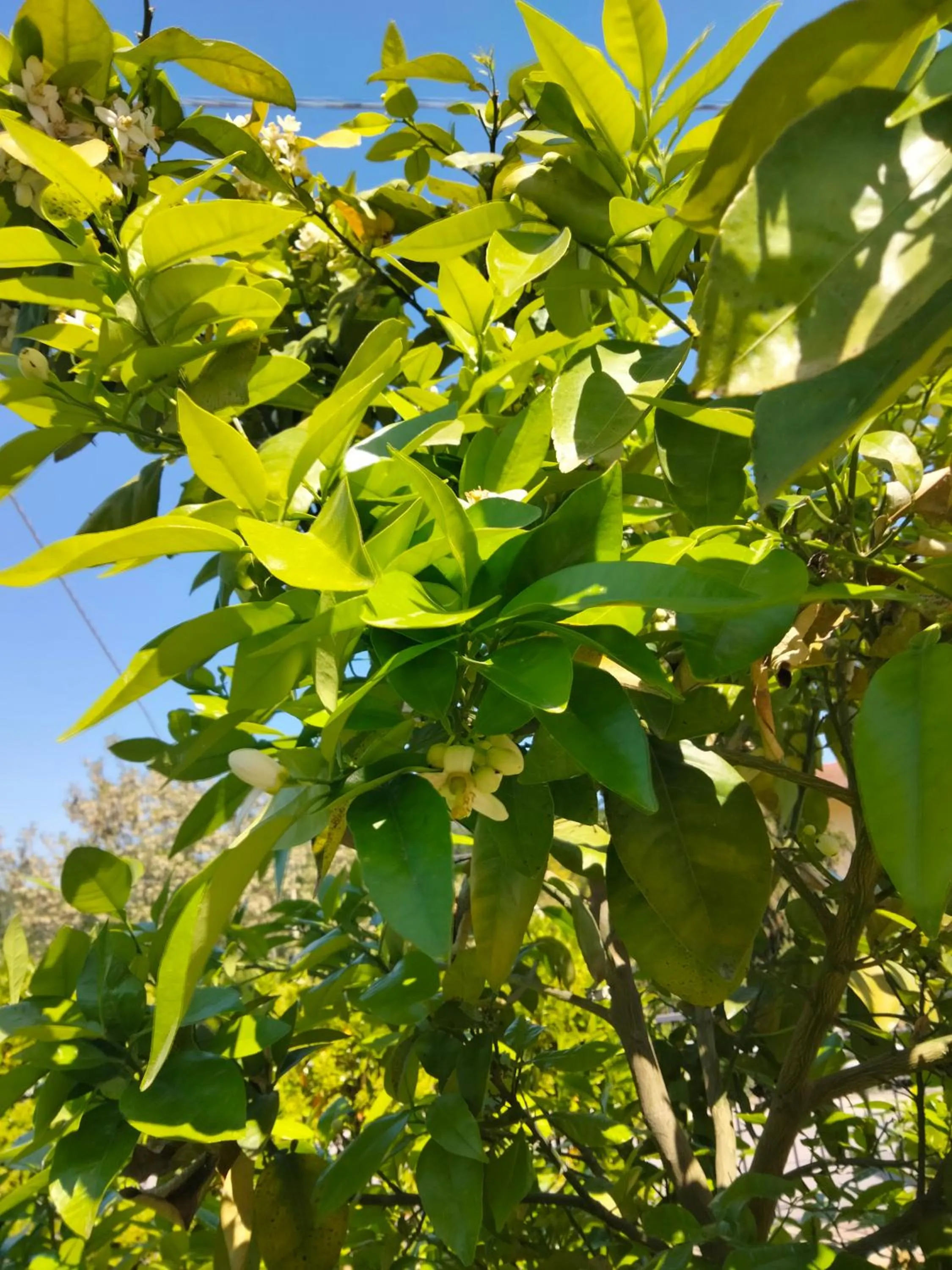 Property building in B&B La Casa di Giuliana