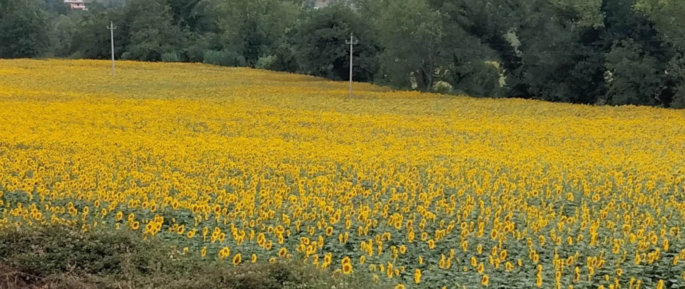 Natural landscape in B&B La Casa di Giuliana