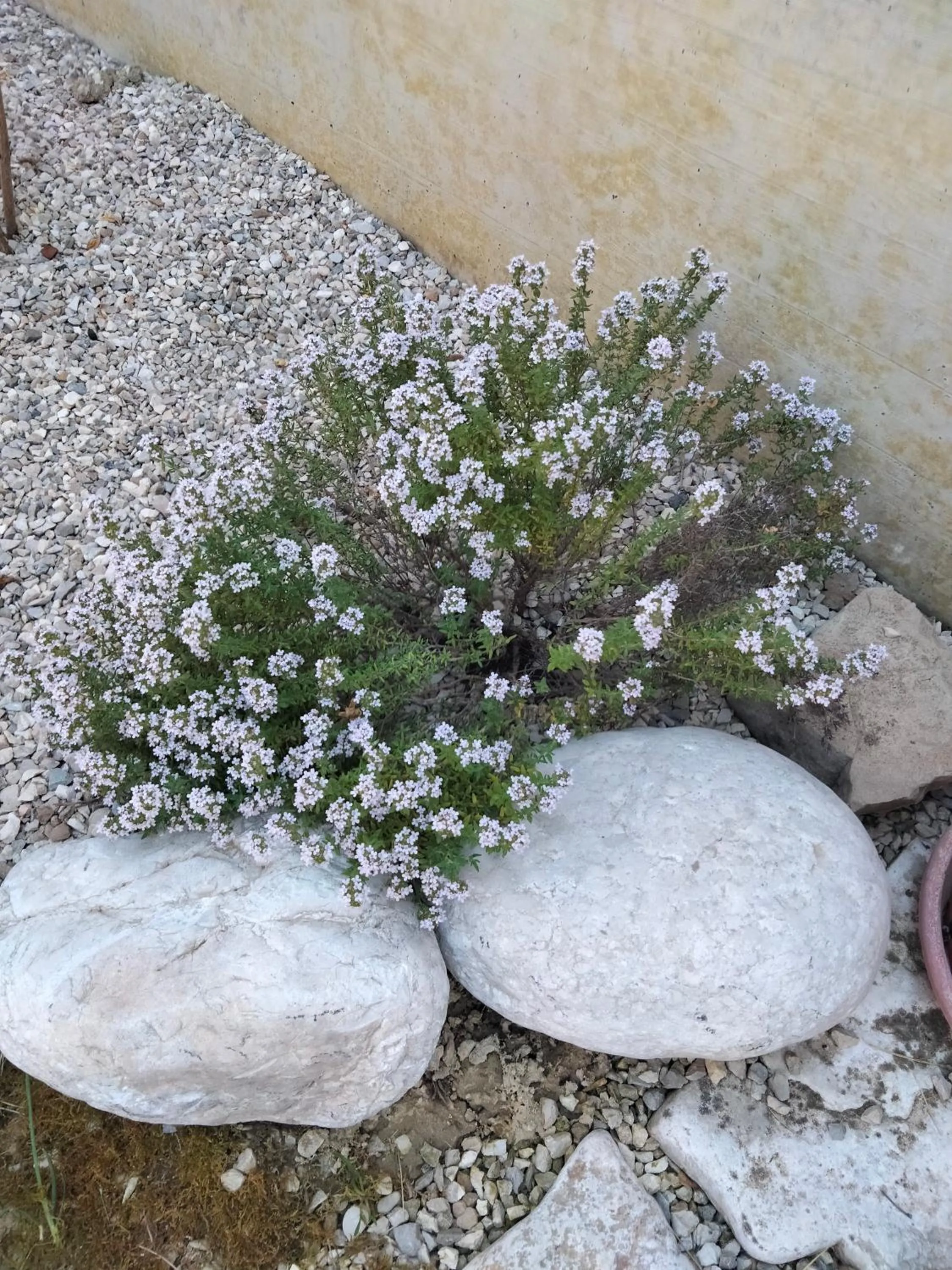 Spring in B&B La Casa di Giuliana