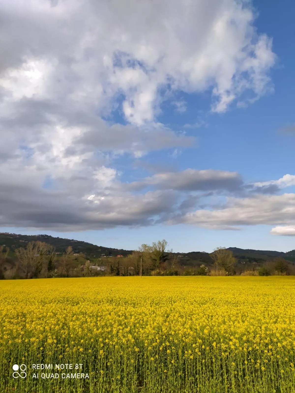 Natural landscape in B&B La Casa di Giuliana